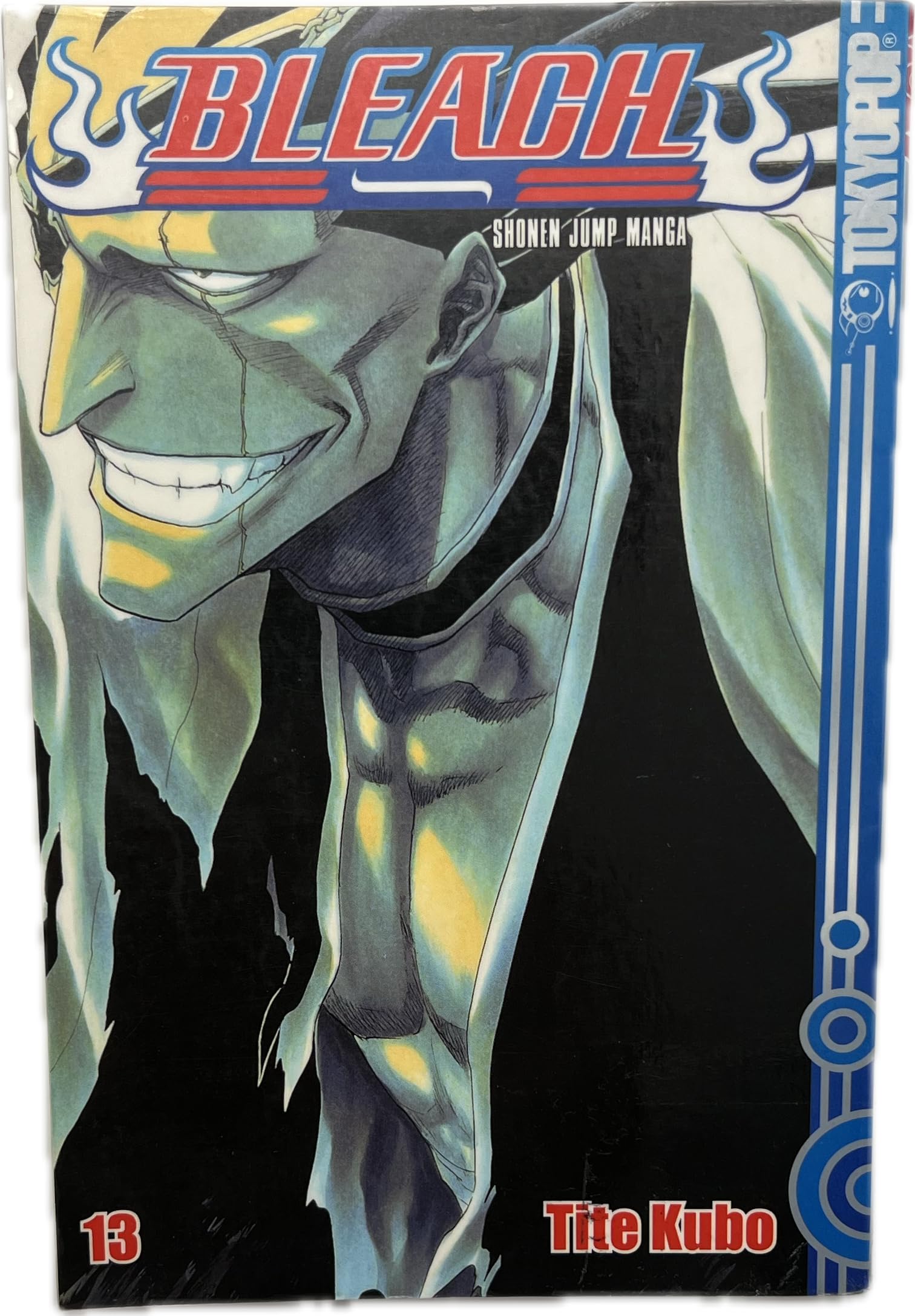 Bleach 13: Der Untote