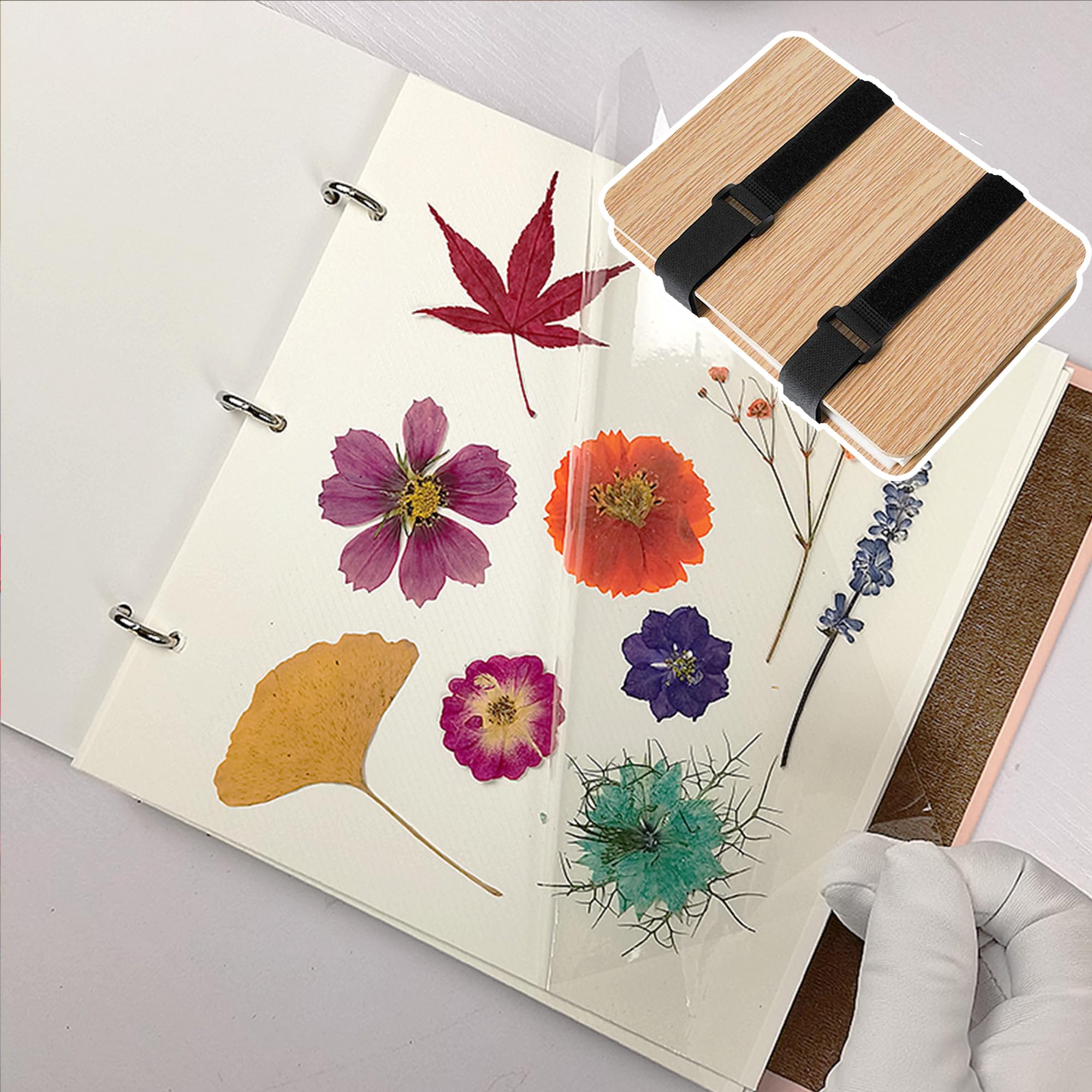 QSLKI Kit in Legno Per Pressatura Fiori, Piante e Foglie - 15x21cm Con 6 Strati Per Adulti e Bambini - Perfetto Per Arti e Mestieri