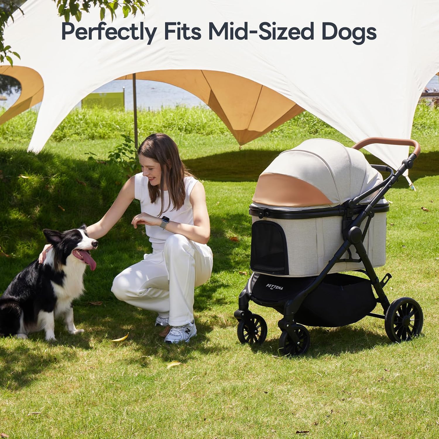 Explore the Comfort: Top Pet Stroller for Easy Travels with Small & Medium Dogs!