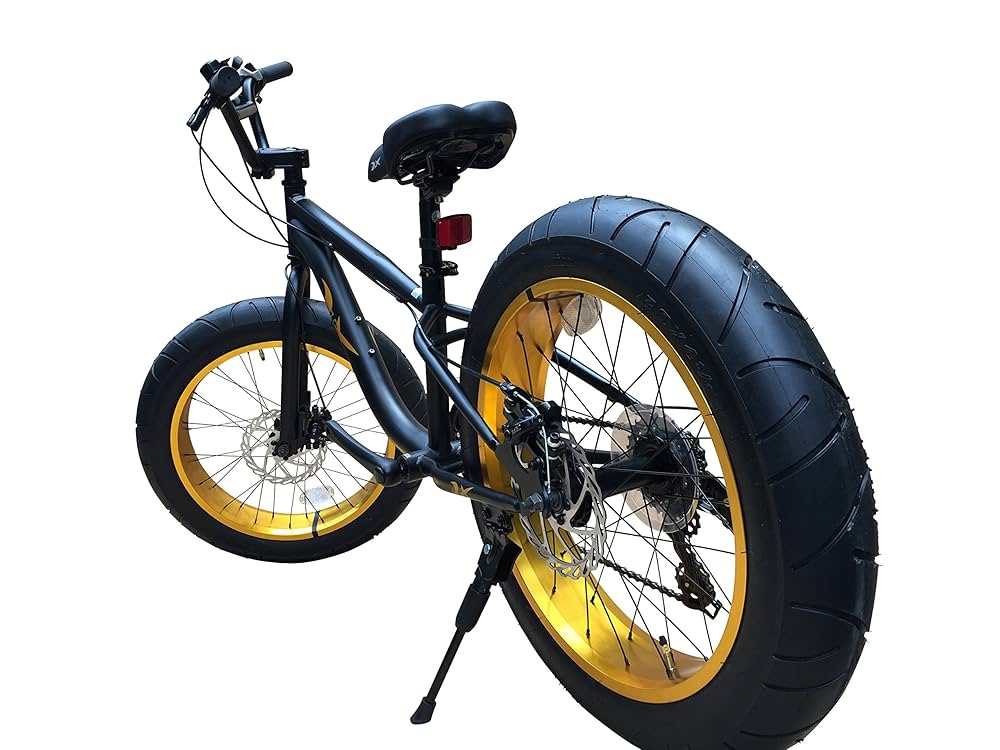 Amazon | DuX(デュークス) ビーチクルーザー 迫力の極太