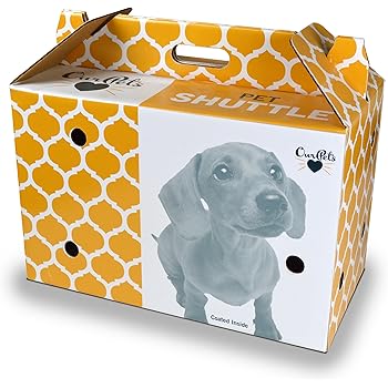 disposable pet carrier