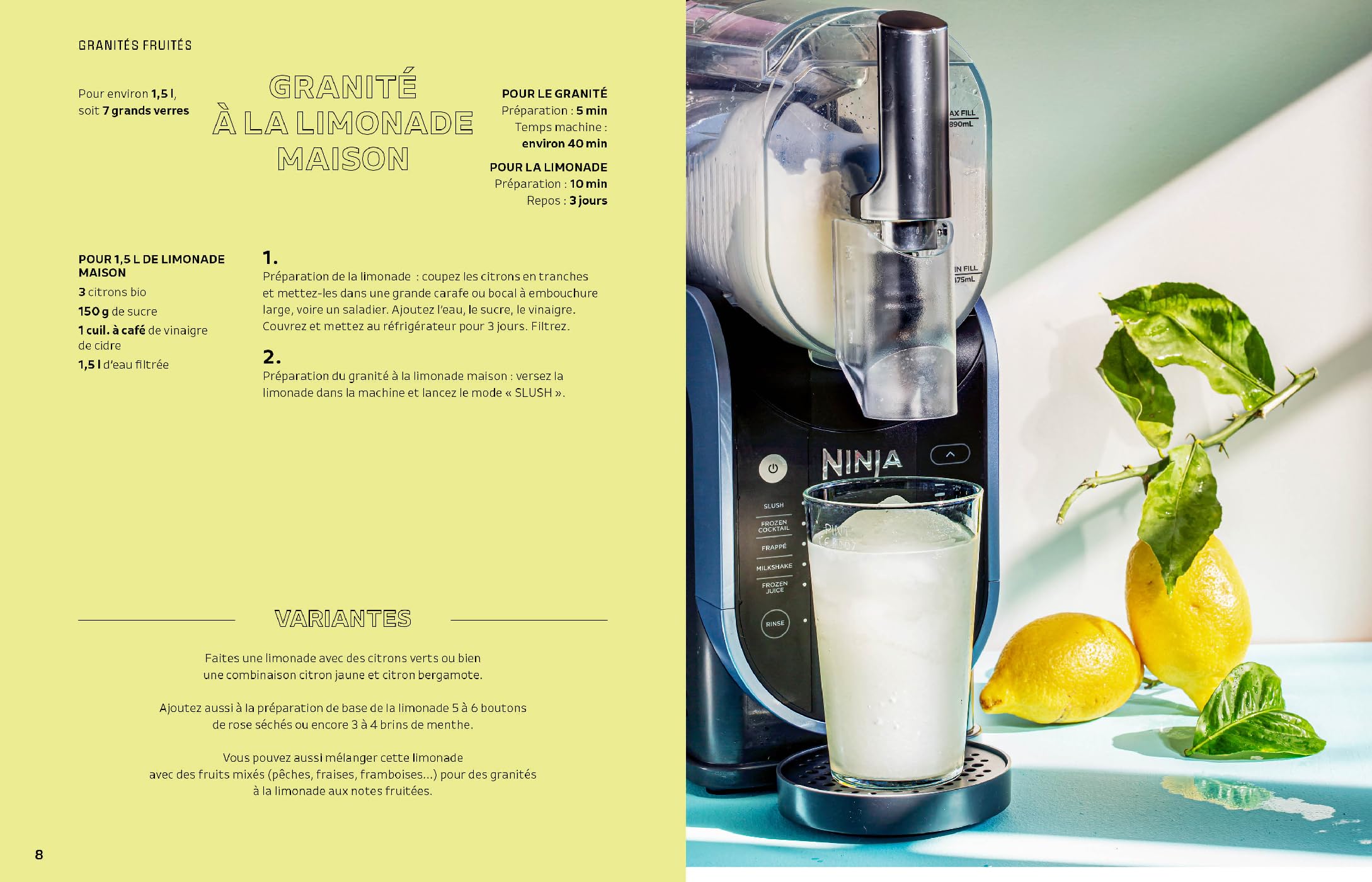 Ninja Slushi: 70 recettes de granités et boissons glacées