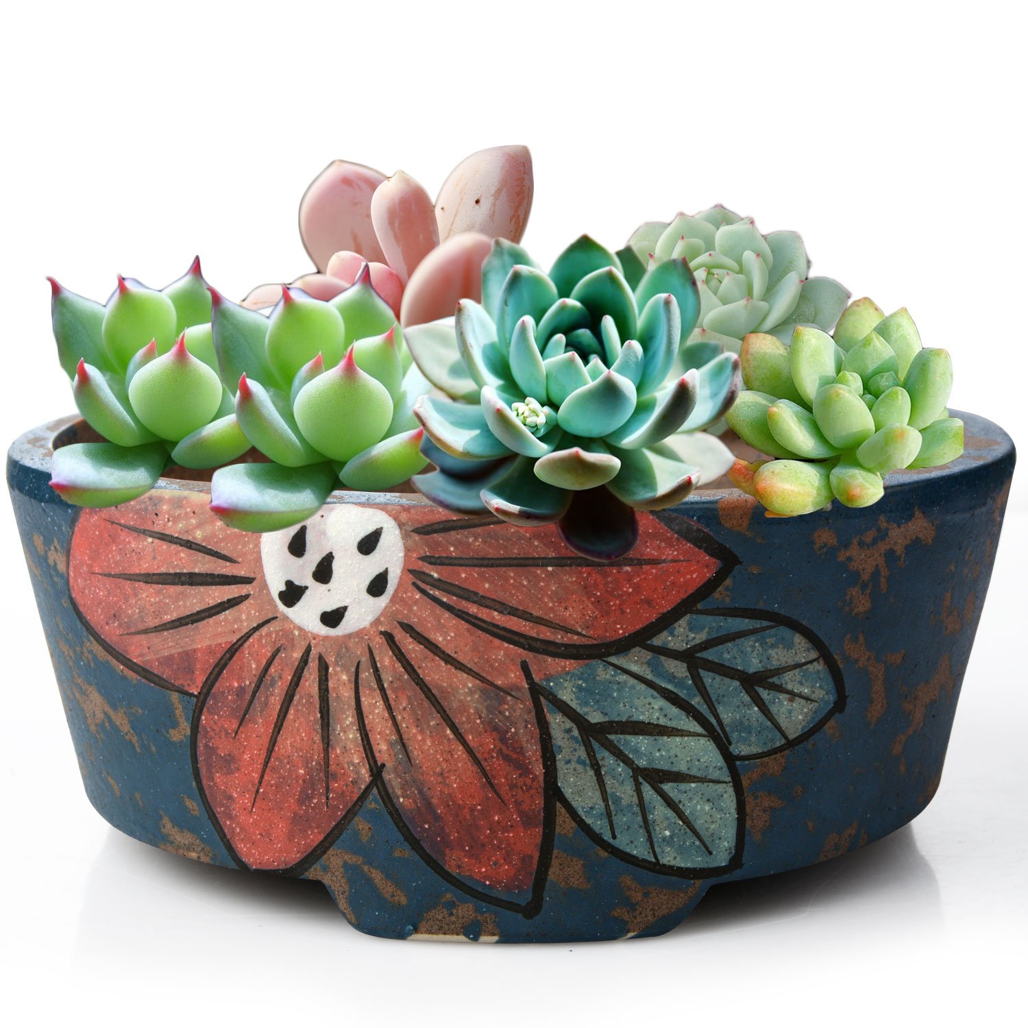 Round Ceramic Planter Pot, 1 pcs HandPainted Ceramic Succulent Planter