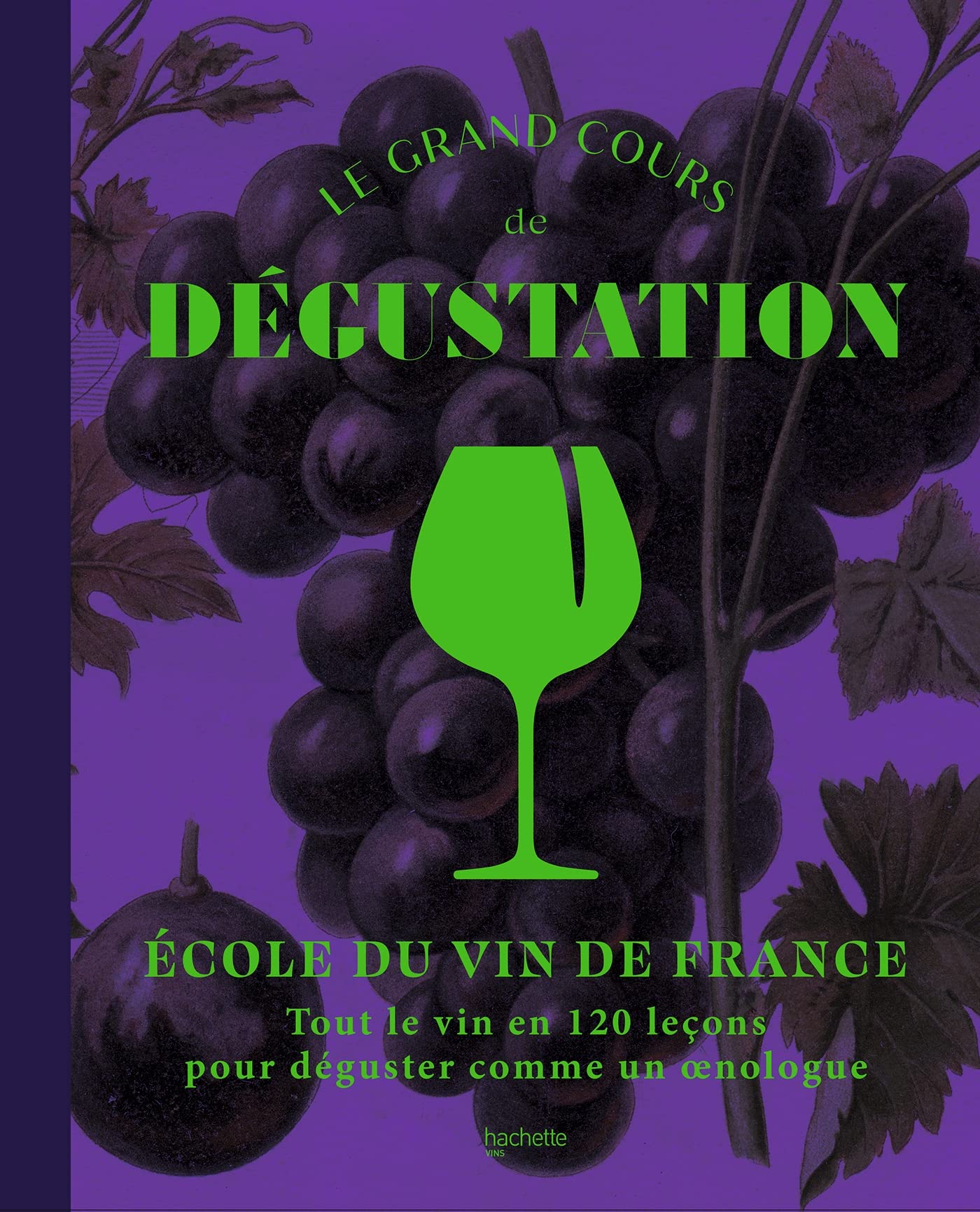 Le grand cours de dégustation: Tout le vin en 120 leçons pour déguster comme un oenologue