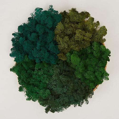 Miniatura 51 de Musgo de Reno Preservado Verde Natural Kit de Bricolaje Arte de Jardinería Decoración de Pared Decoración de Floristería Decoración de Mesa