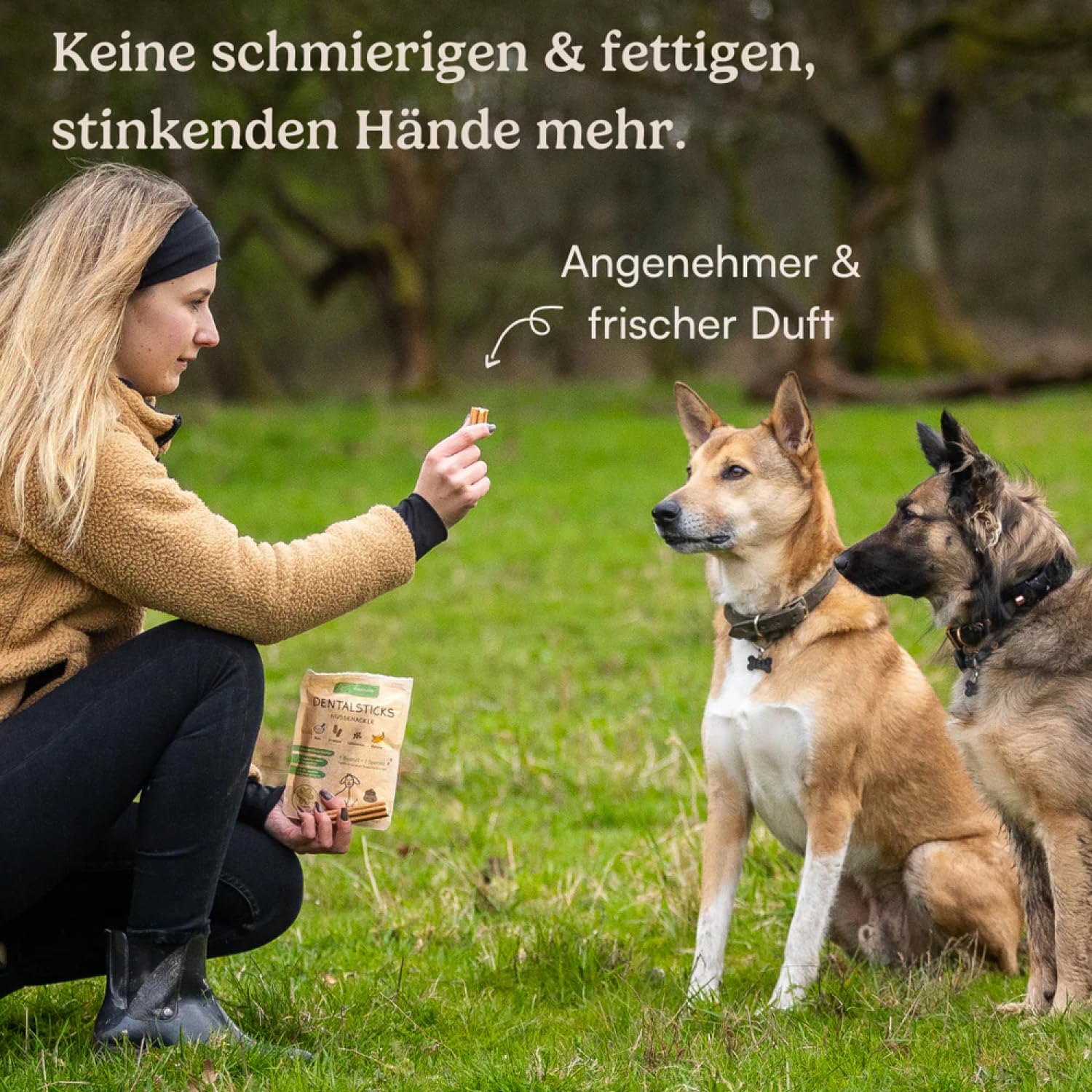 Hunderunde – Zahnfee Dental Sticks 42 STK – vegane Zahnpflege für Hunde – mit Apfeltrester & Pfefferminze – gegen Zahnstein & Maulgeruch – getreidefrei – Hundesnack für tägliche Zahnpflege