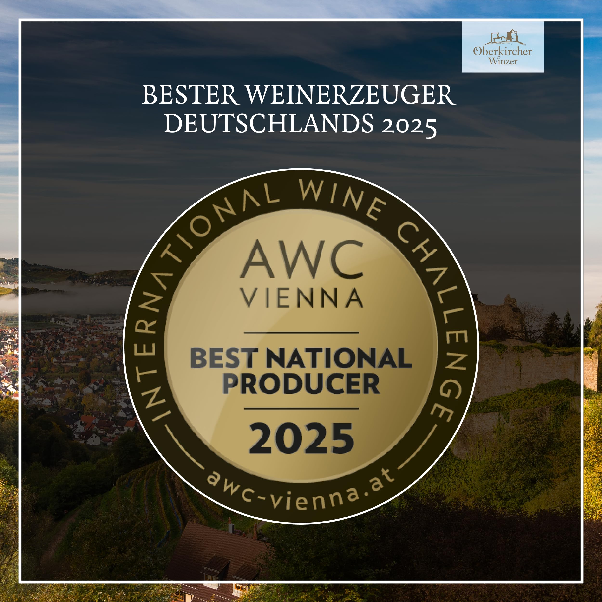 Oberkircher Winzer Scheurebe Auslese - 92,1 PUNKTE GOLD 2025 AWC Vienna - COLLECTION OBERKIRCH - erfrischende Säure mit viskoser Fruchtsüße, Badischer Wein, Anbaugebiet Ortenau (3 x 0,375l)