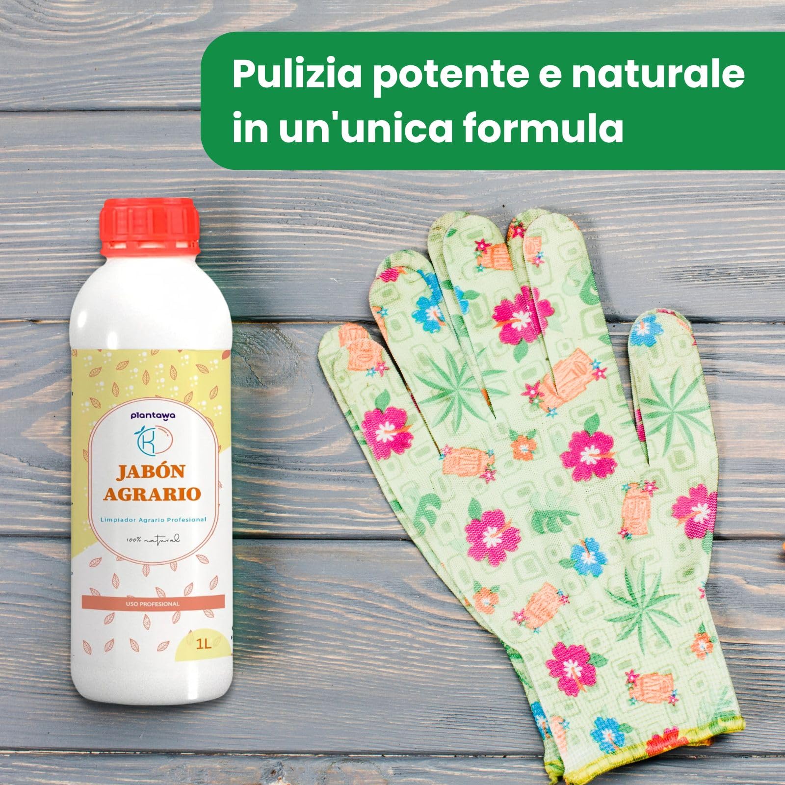 PLANTAWA Sapone Molle di Potassio 1L Materia Prima di origine Naturale Soluzione multiuso per Interno ed Esterno Massima Concentrazione ed Efficacia Facilmente Solubile Applicazione facile