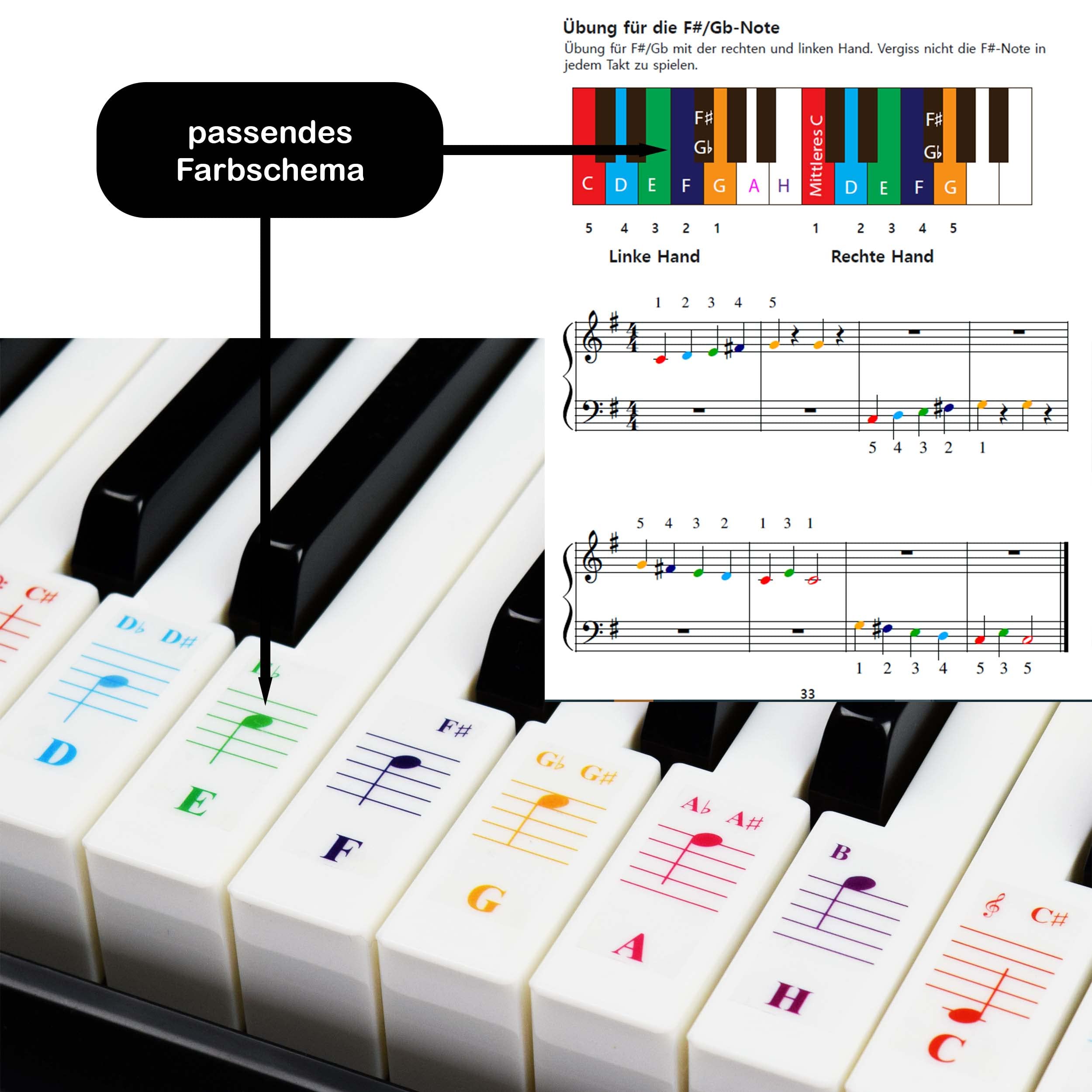 Coloured Piano Stickers, Coloured Keyboard Stickers, A Complete Piano Music Lesson with Colour Note - Image 4