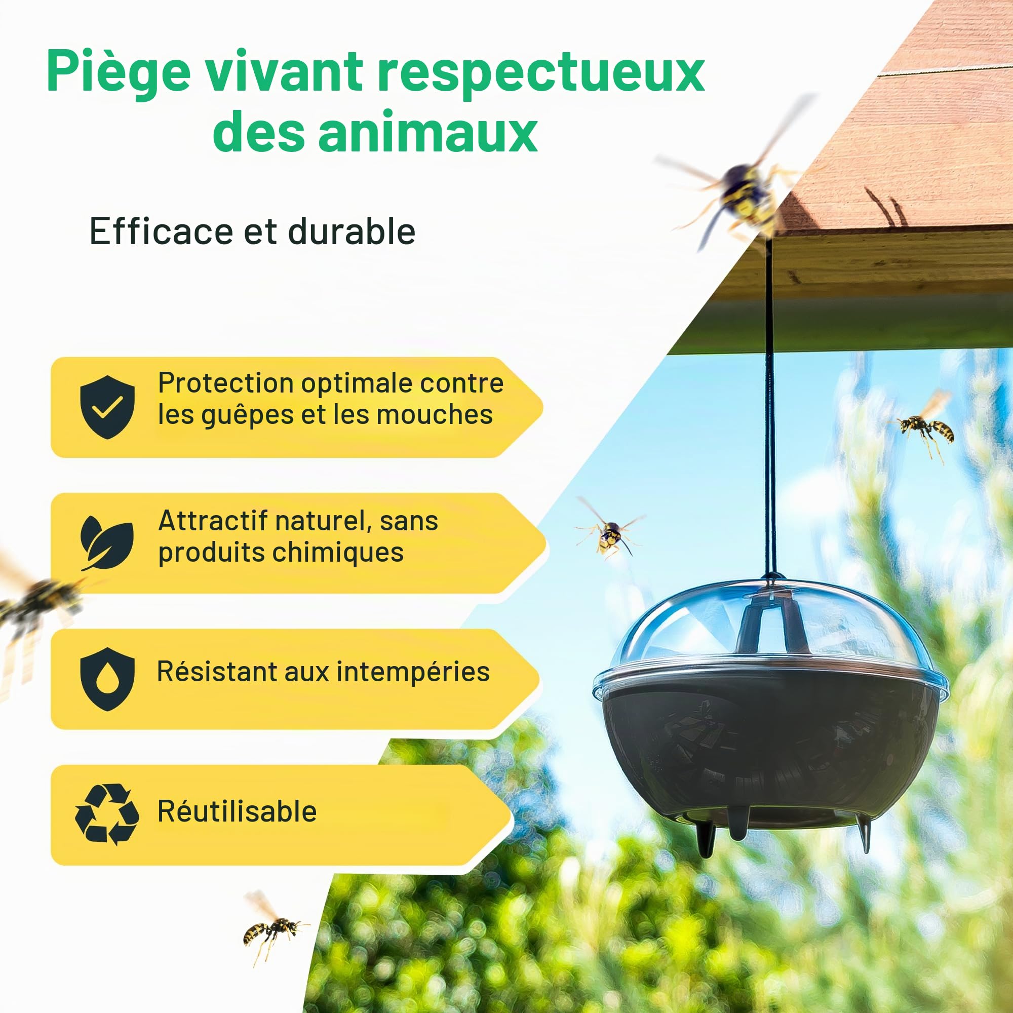 Lot de 2 pièges à guêpes - Piège à insectes efficace pour répulsif contre les guêpes - Extra grand - Piège à guêpes pour l'extérieur - Anti-guêpes - Piège vivant à suspendre - Respectueux de