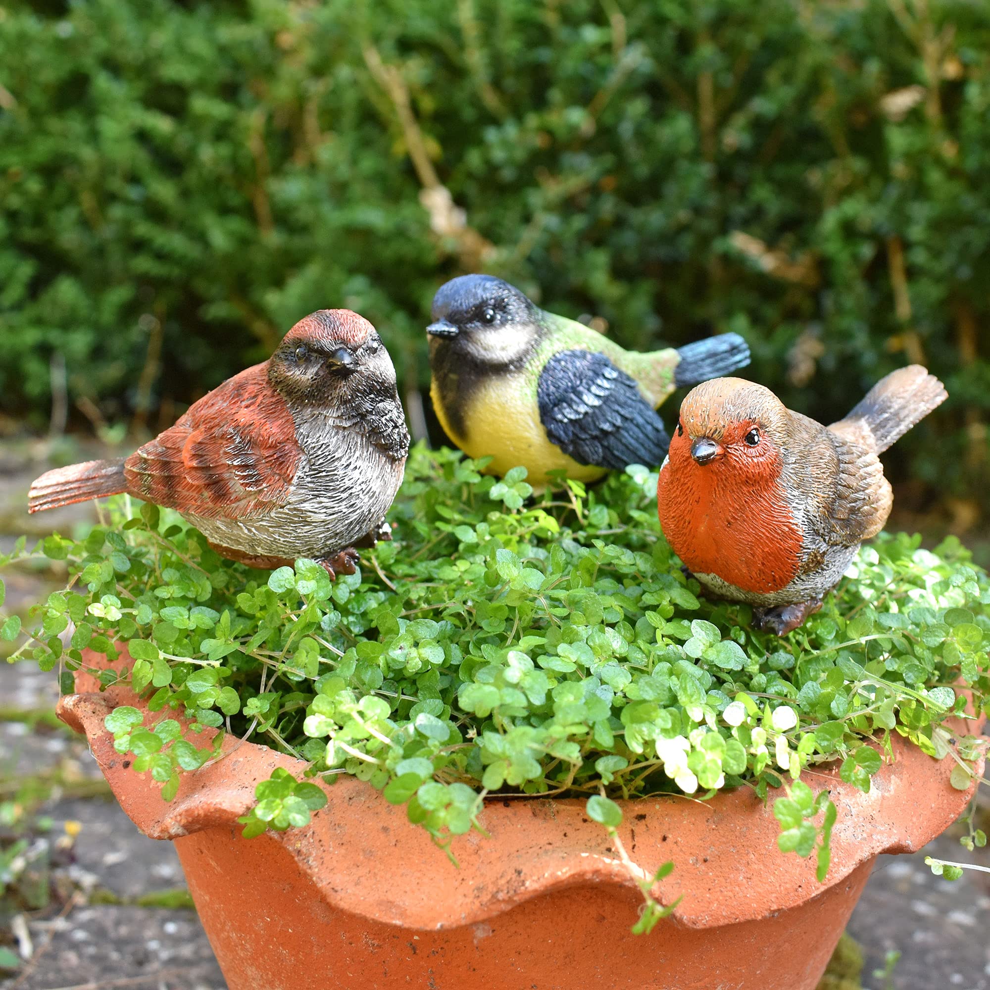 Farmwood Multicolor 3 Garden Bird Ornaments British Birds On Stick Garden Decor Robin, Sparrow & Tit