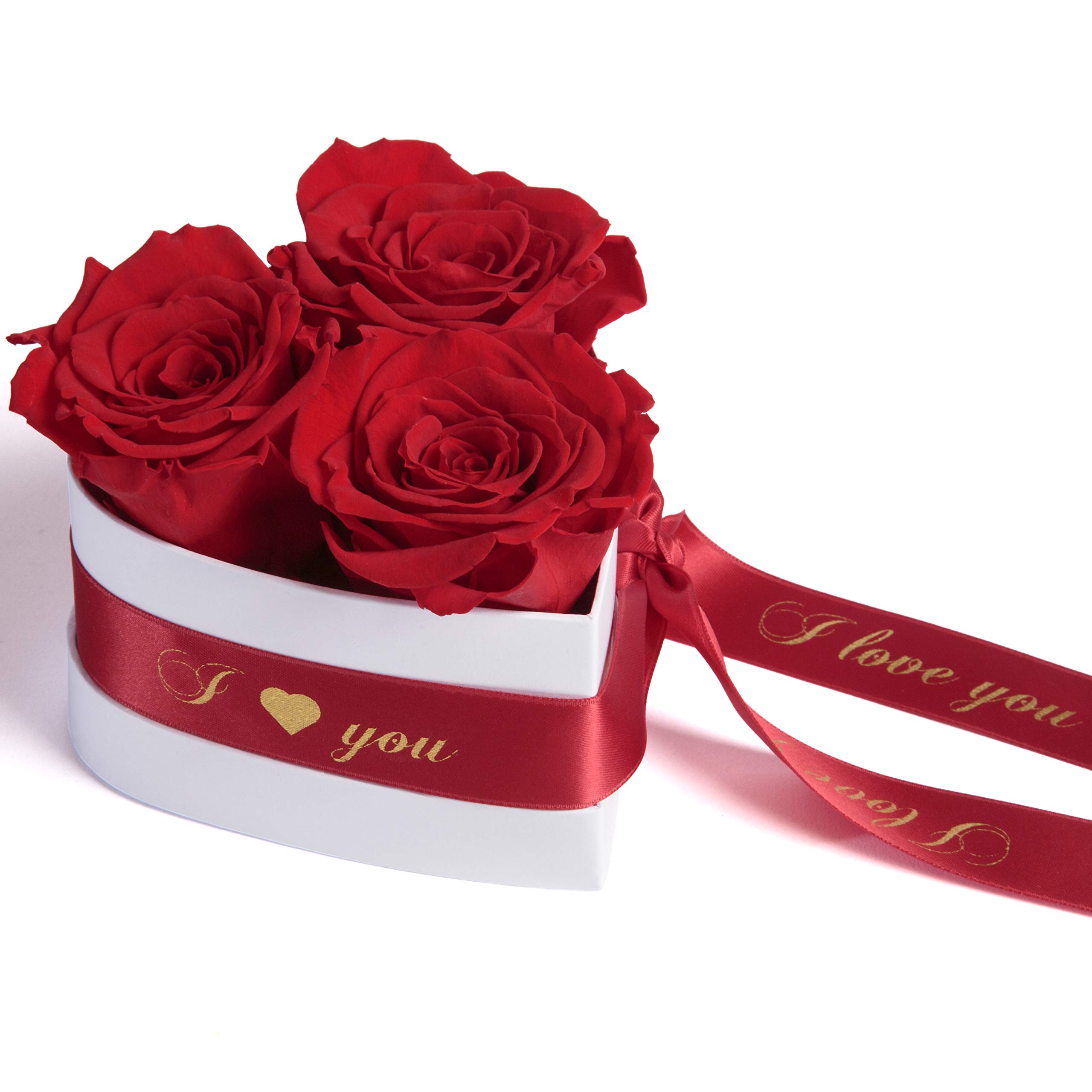 Rosemarie Schulz Heidelberg Infinity Rosenbox Herz 3 Konservierte Rosen in Box - Haltbar 3 Jahre 10x12cm - Liebeserklärung Herz Geschenke für Frauen Valentinstag und Frauentag (I Love You, Rot)