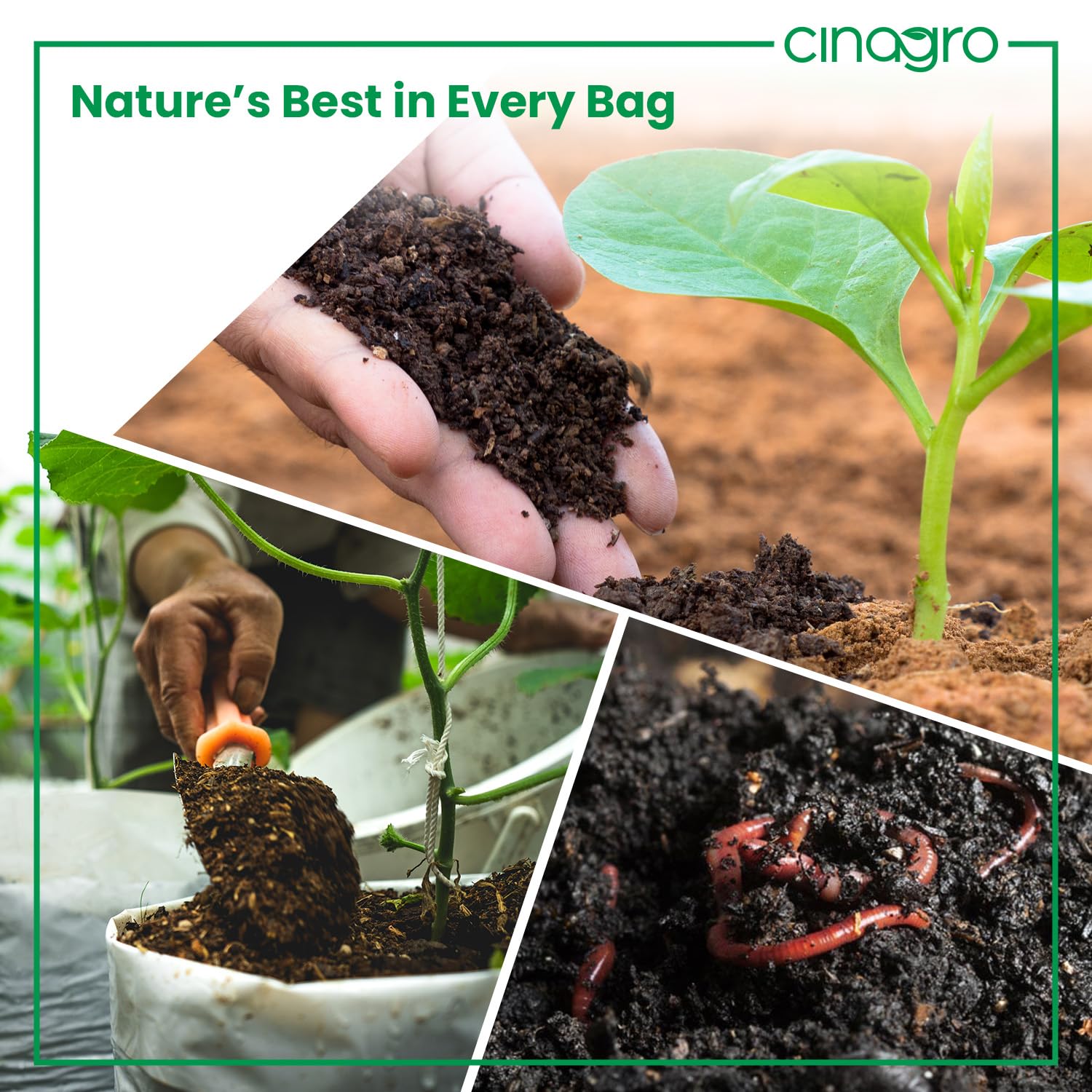 Cinagro Vermicompost 5 Kg, 100% Organic Fertilizer Manure for All Plants 4