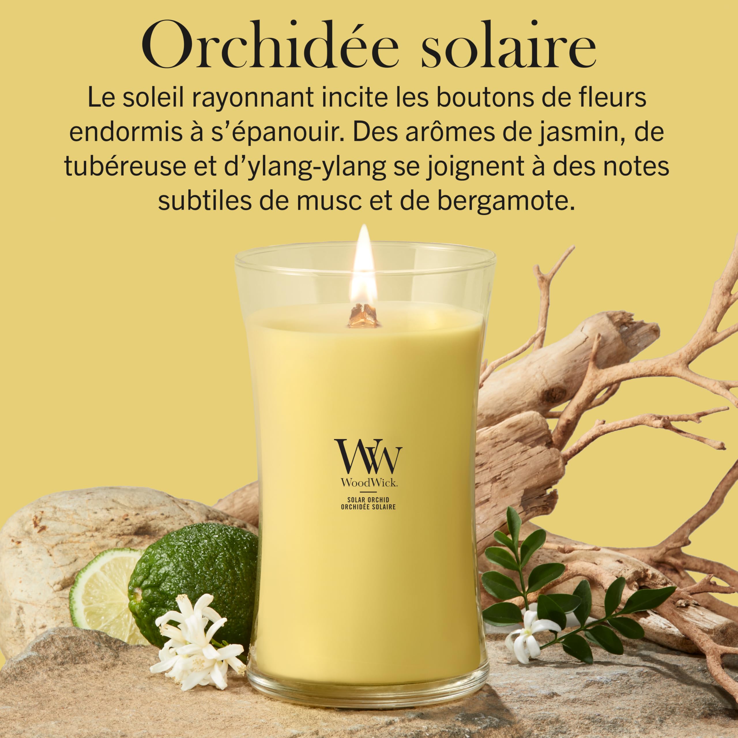 WoodWick Bougie parfumée | Grande bougie sablier | Orchidée solaire | Cadeaux parfaits pour femmes