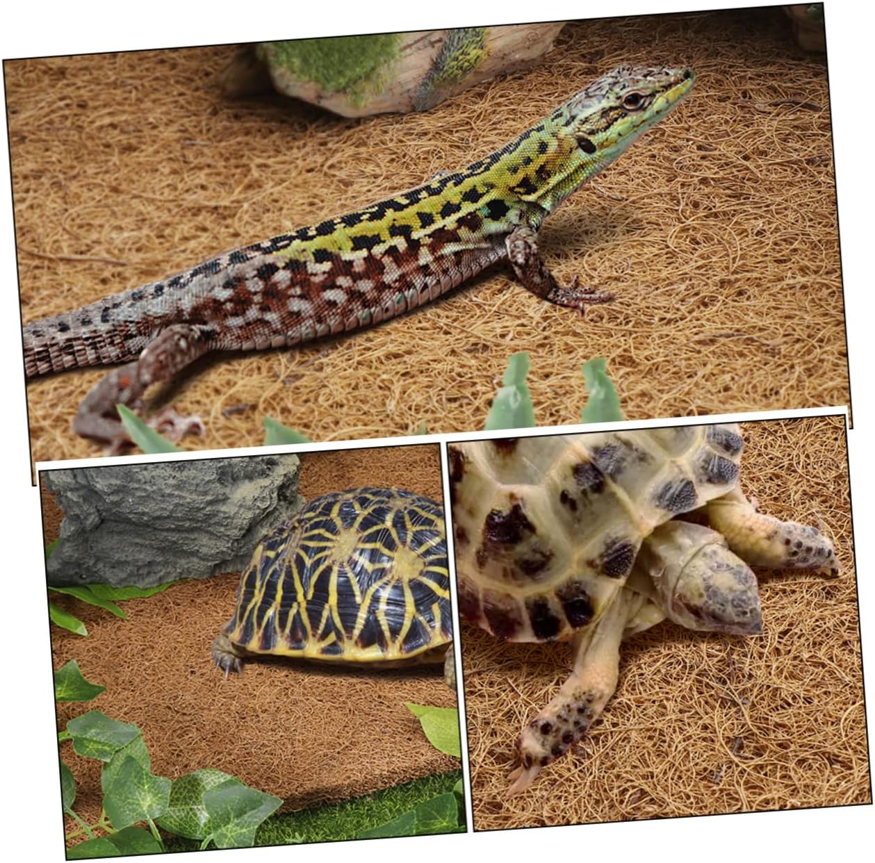 ibasenice Coconut Fiber Reptile Carpet Mat Turtle Tank Liner for Lizards Snakes Tortoises Comfortable Substrate for Reptile Terrariums and Easy Waste Cleanup