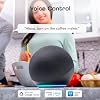 Enchufe Inteligente Geeni Wi-Fi de 4 Salidas, Protección contra Sobretensiones, Fácil Instalación, 1 Unidad | Compatible con Alexa y Google Home, convierte 2 salidas en 4, blanco, Wi-Fi de 2.4 GHz 5