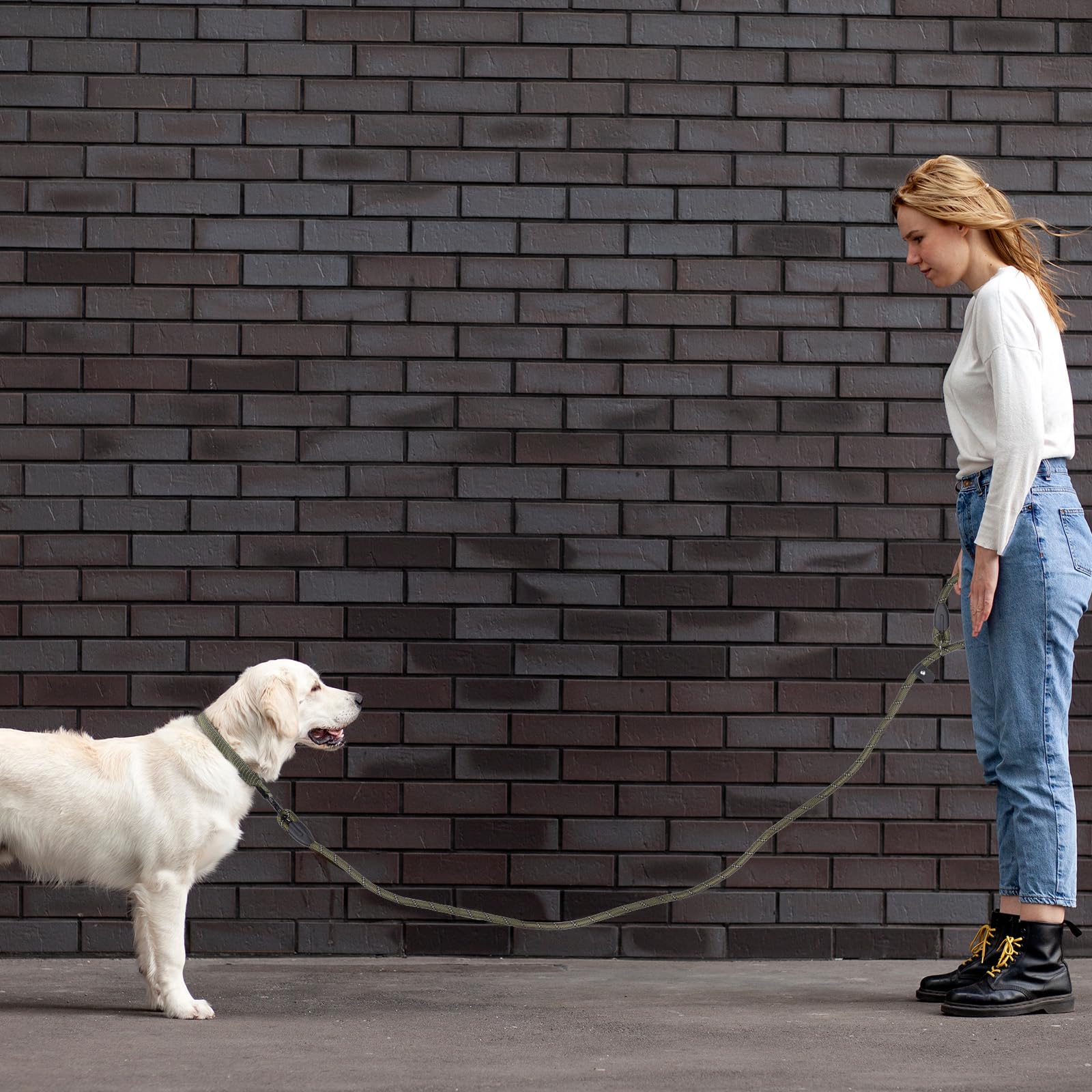 Retrieverlijnen hond | Riem en halsband in één Retrieverlijnen hond | Riem en halsband in één