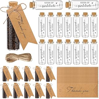 Chuangdi 25 Set Seed Glass Bottles Bulk Seeds of Gratitude Party Favors for Guests with Thank You Tags and Twine Appreciation Gifts for First Day of School Wedding Baby Shower Birthday Party, No Seed