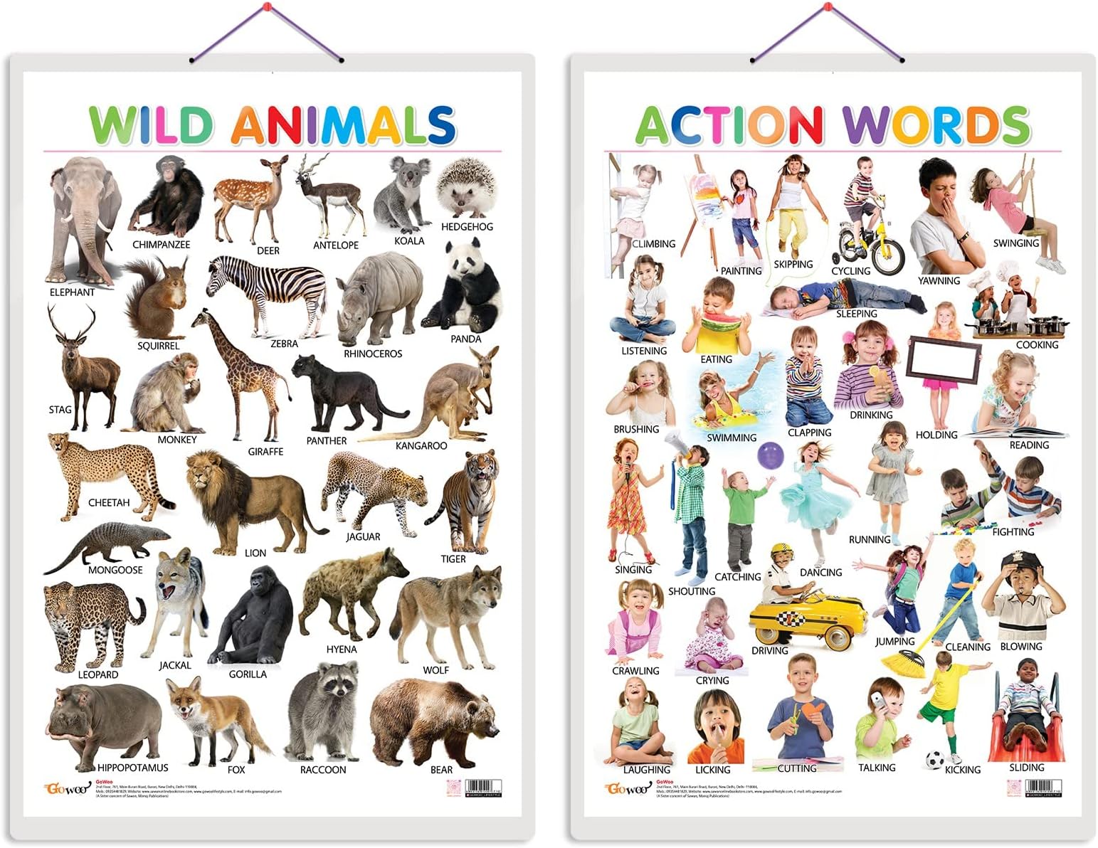 GO WOO Combo of 2 Wild Animals and Action Words Educational Posters for Preschool Kids Classroom Study | Learning- Charts for Kids Learning (20"X30" Inches)