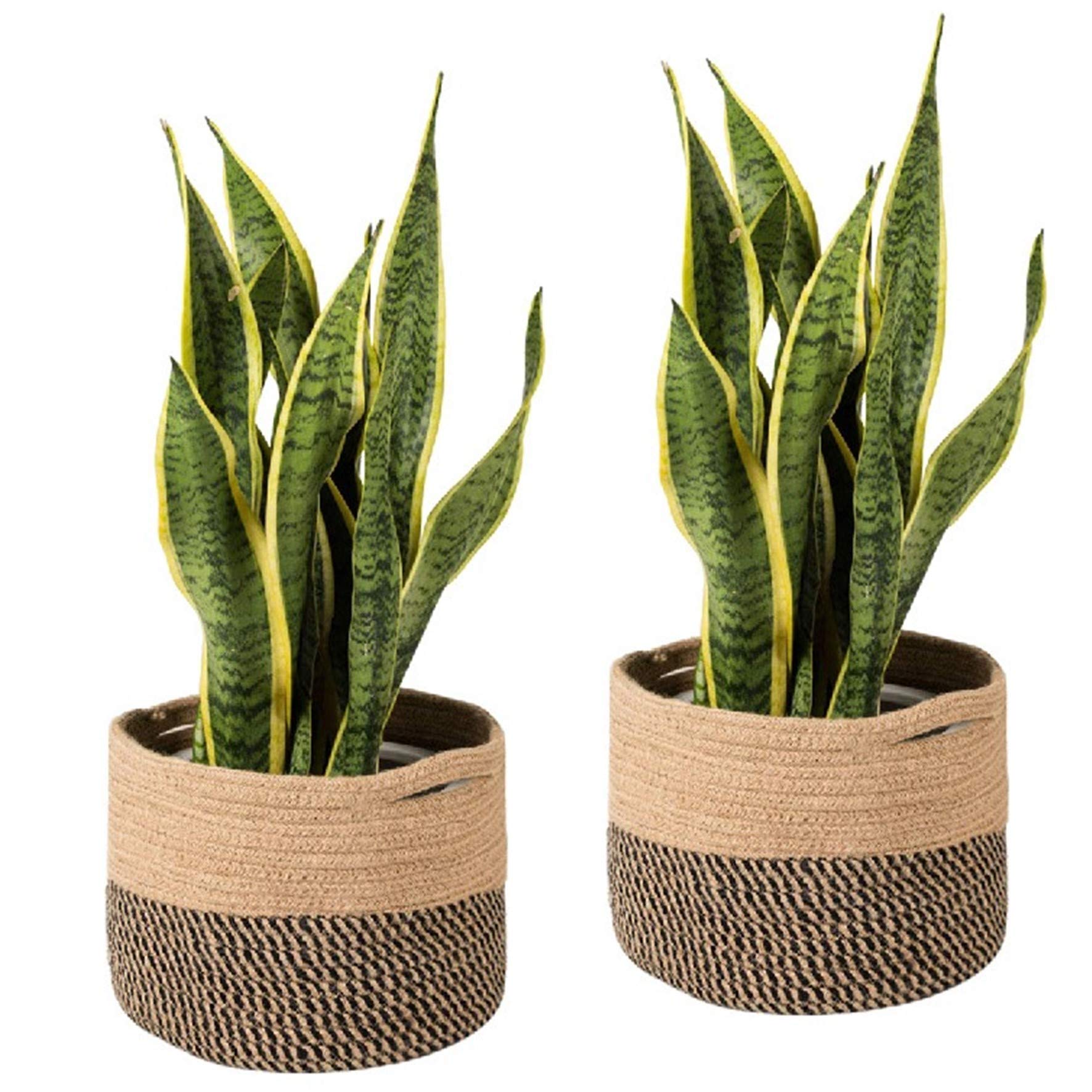 PartyStuff Jute Planter Basket, Indoor Planter, Balcony, Office Desk (Black, Zig Zag, 6x6x6 inch, Pack of 2) (B08GZXP6M6) Amazon Price History, Amazon Price Tracker