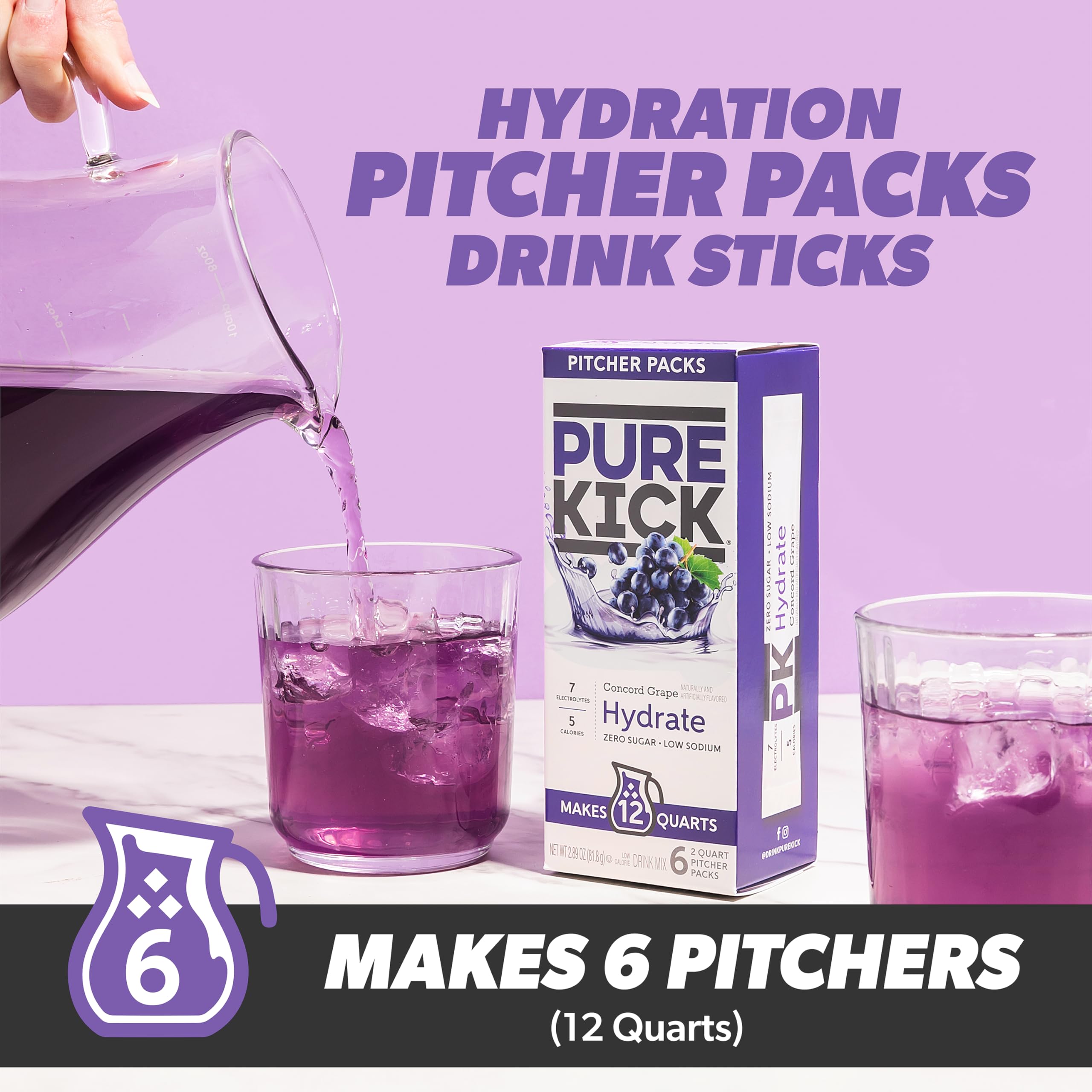 Pure Kick Lot de pichet d'hydratation, raisin Concord, comprend 6 paquets, 1 boîte, soit 12 litres au total