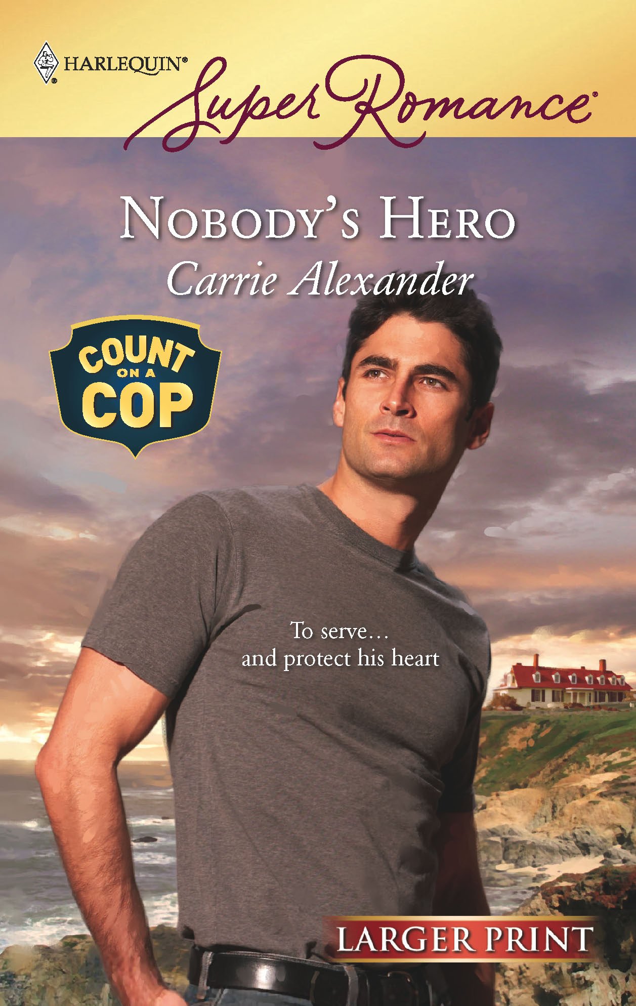 Nobody's Hero (Larger Print Harlequin Super Romance)