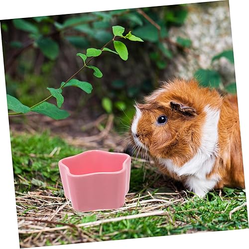 Miniatura 4 de STOBOK Cuenco de cerámica para alimentación de animales pequeños, lindo corazón y forma de estrella, ideal para hámsters, jerbos, planeadores de