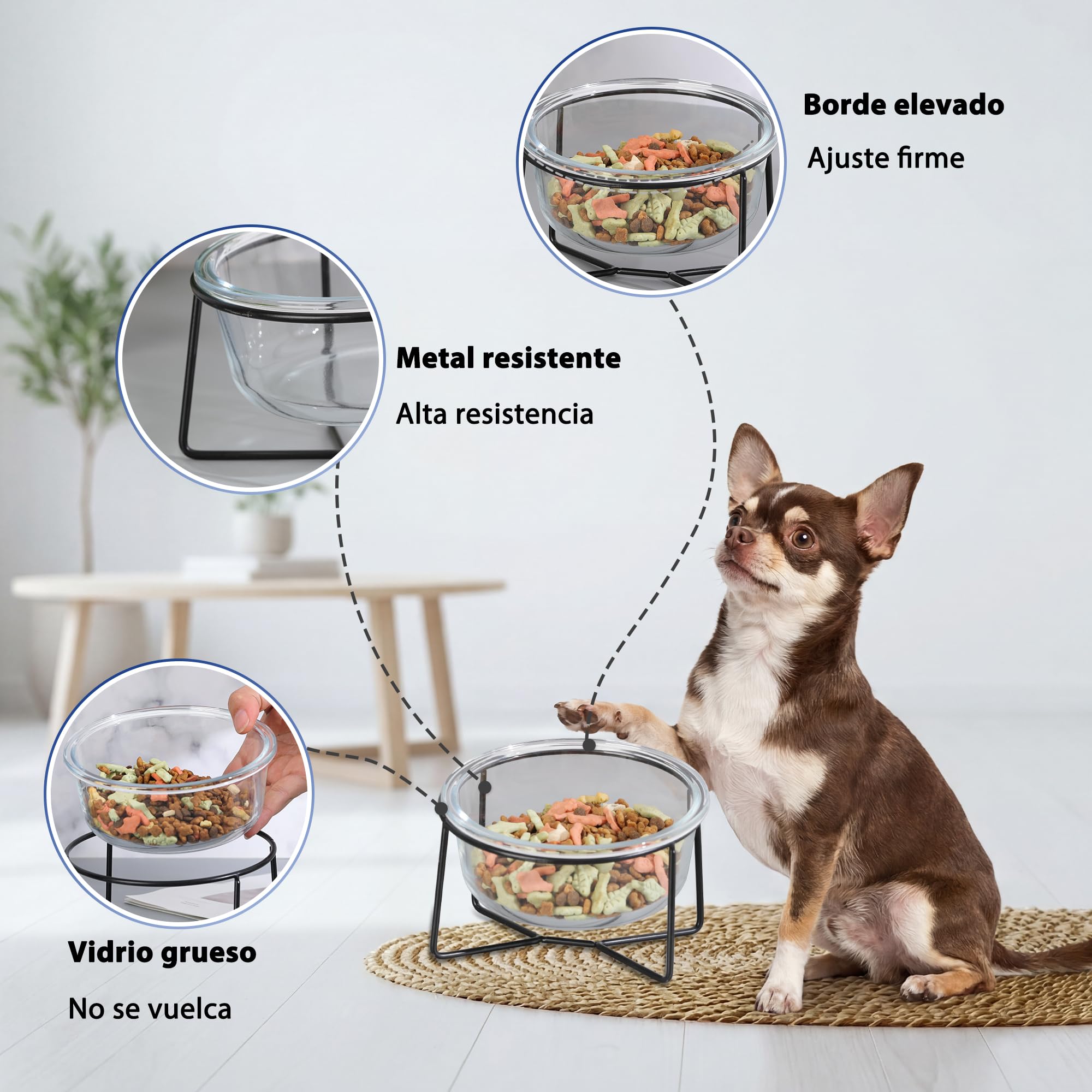 Comedero Elevado para Gato con Soporte, Cuenco de Cristal 460 ml para Agua y Comida, Apto para Perro Pequeño y Cachorro