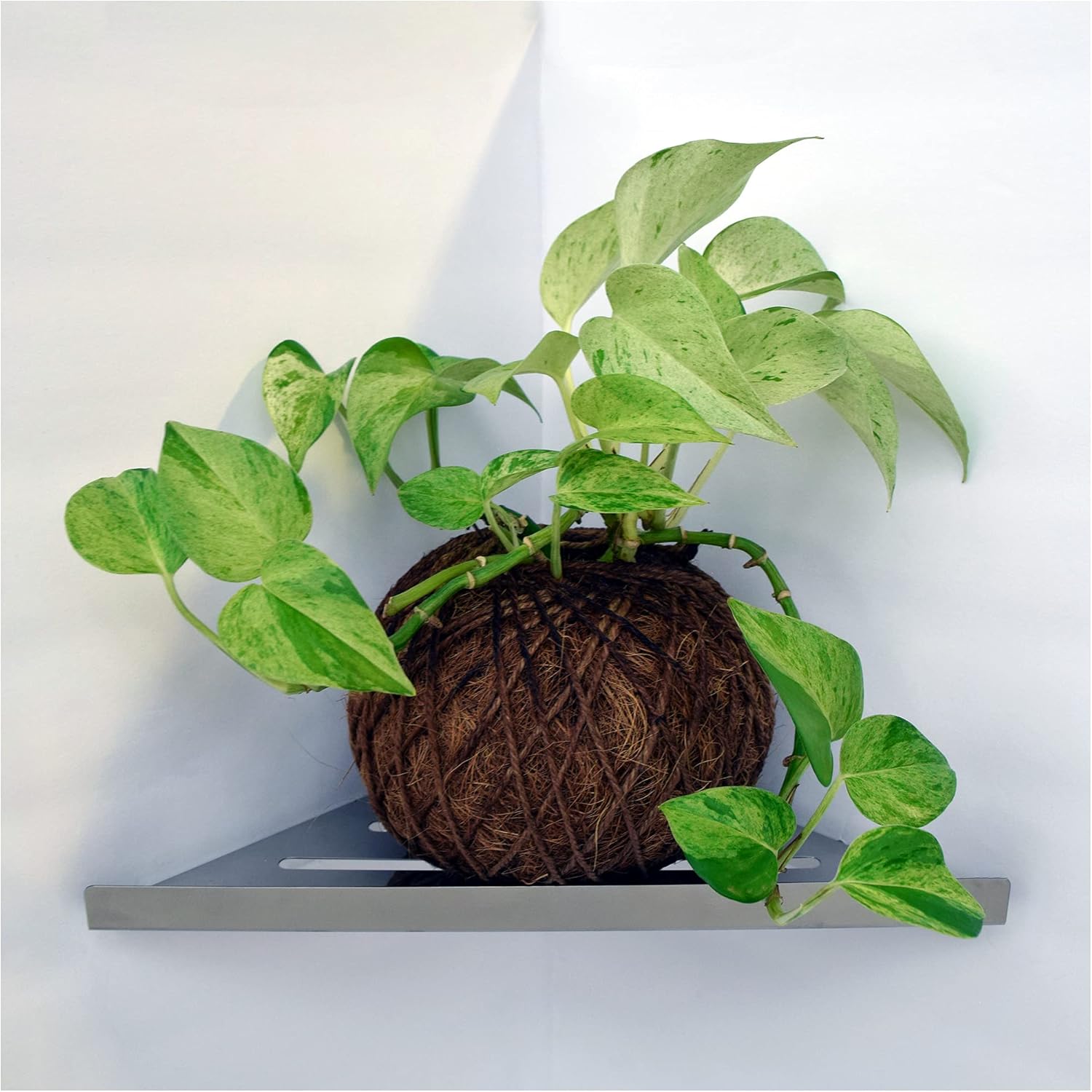 Corner Shower Caddy Organizer for Bathroom - 2 Pack Stainless Steel Modern High End Corner Design - Wall Mountable Shower Organizer and Easy to Install - Holder Rack Shelf with no Pole (Light Polish)