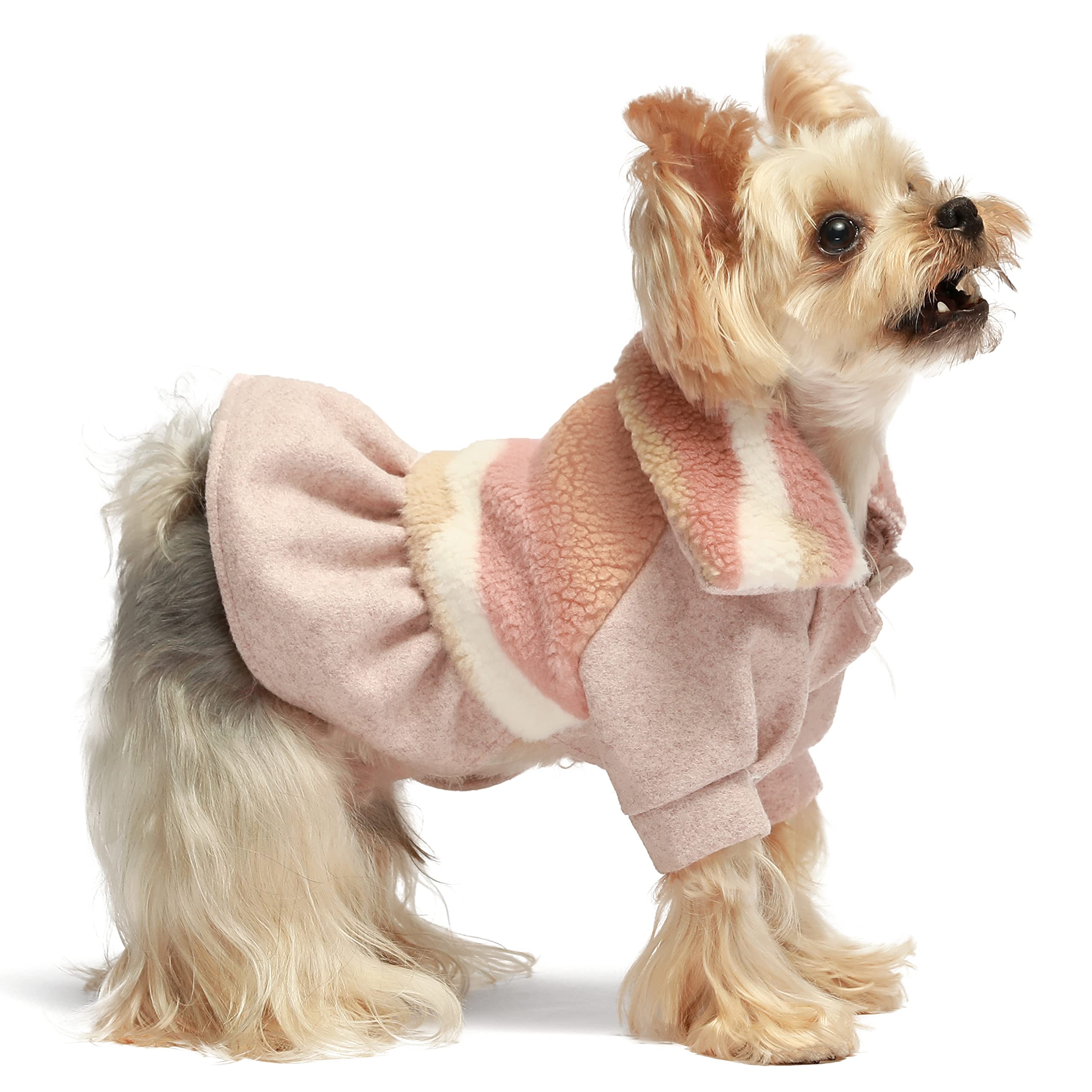 What Size Clothes Do Toy Poodles Wear