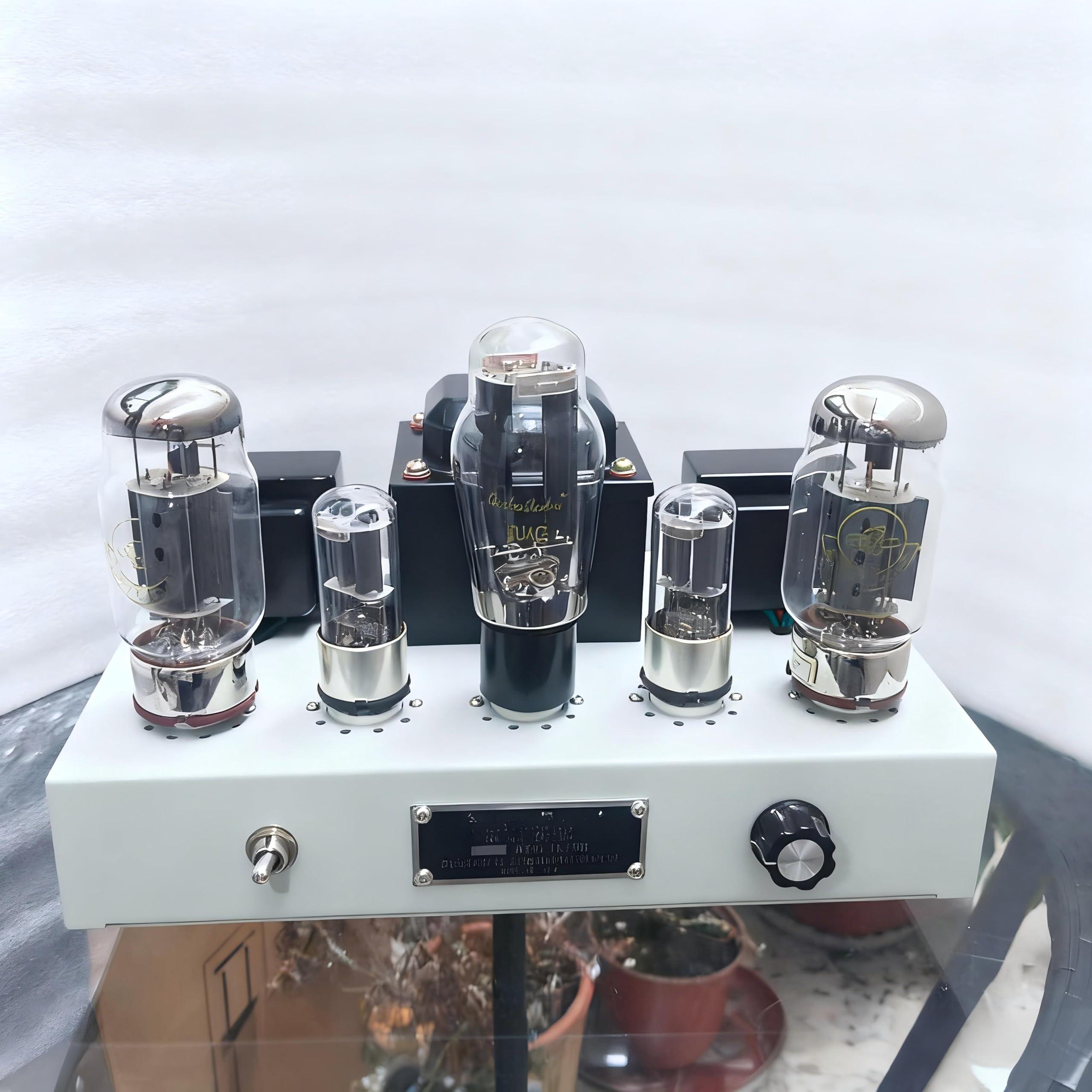 Amazon.com: KT88 Class A Single-Ended Tube Amplifier, Pure
