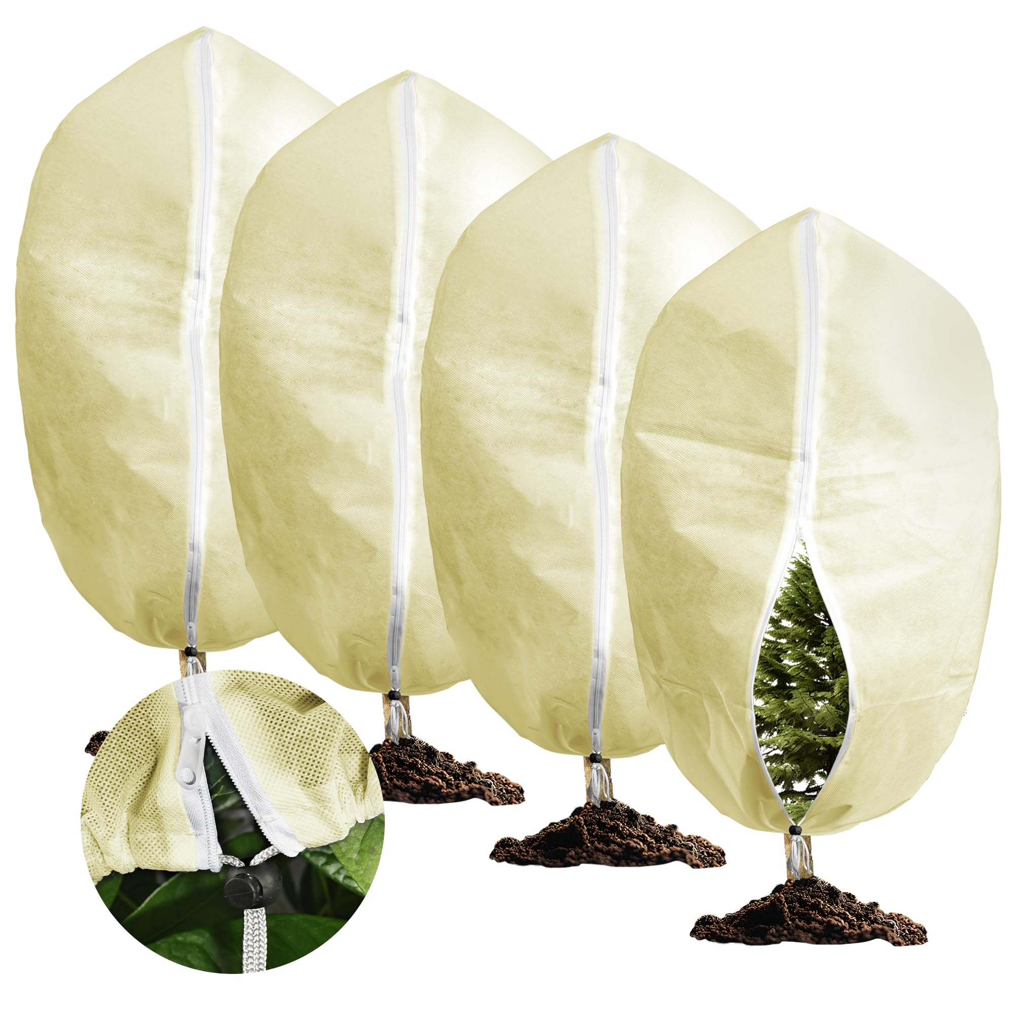 Voile D'hivernage Plante, Voile Hivernage Olivier, Voile, Voile Hivernage Citron