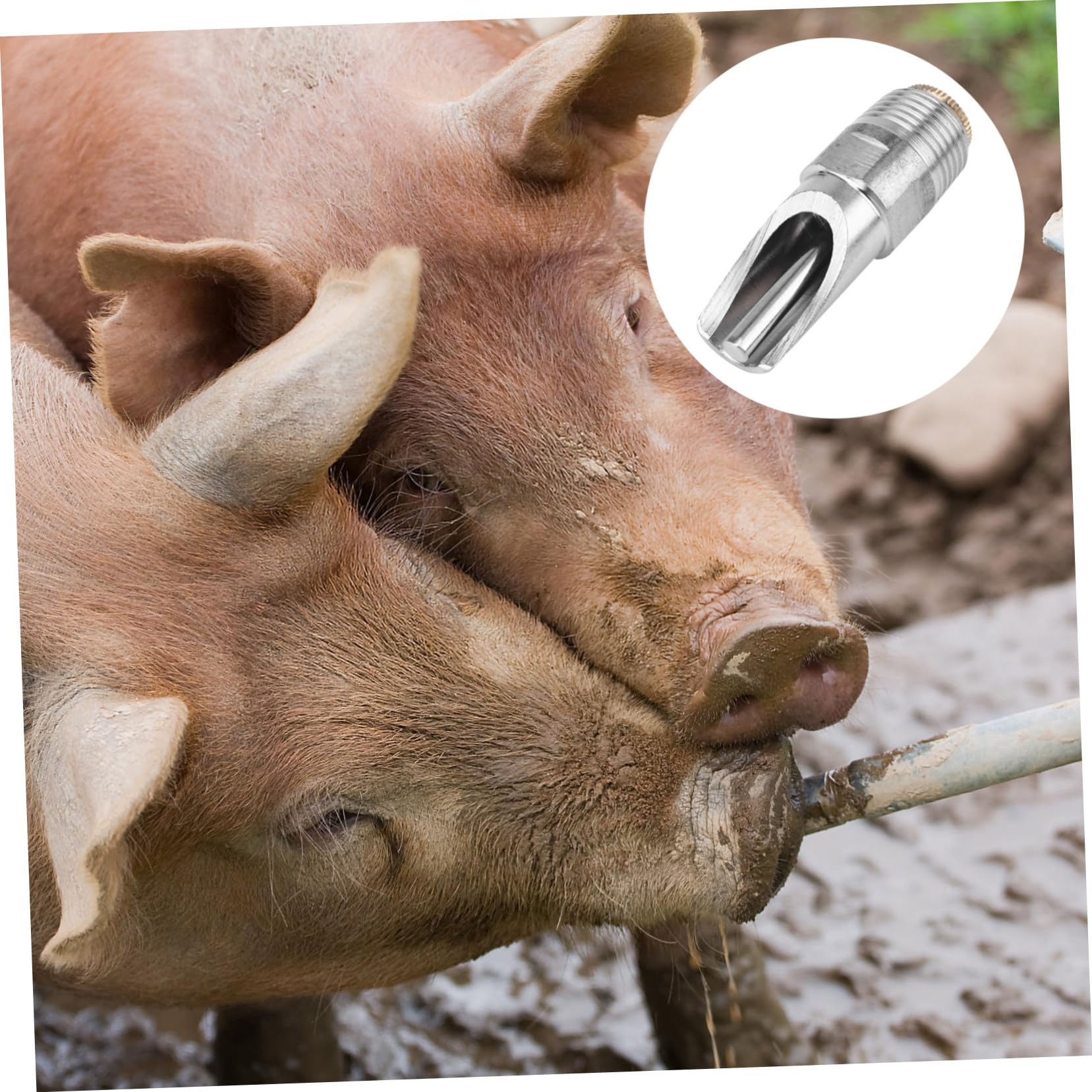 ibasenice Schweine Trinknippel mit Dichtleistung und Auslaufschutz 10 Stück Edelstahl Automatische Schweinetränke für Ferkel und Sauen