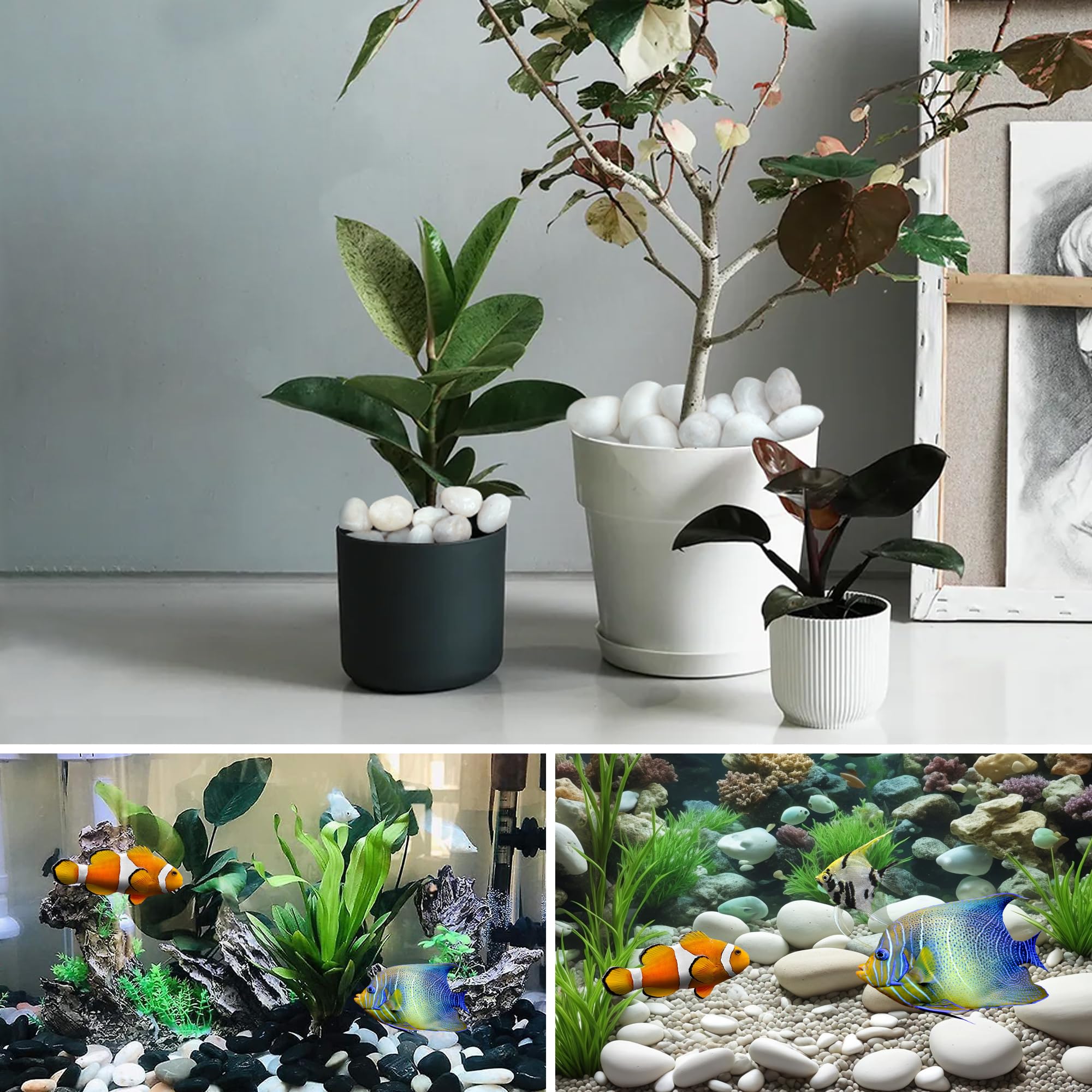 Amazon.co.jp: VINICS 5ポンド 大型小石 屋内植物用 2-3インチ