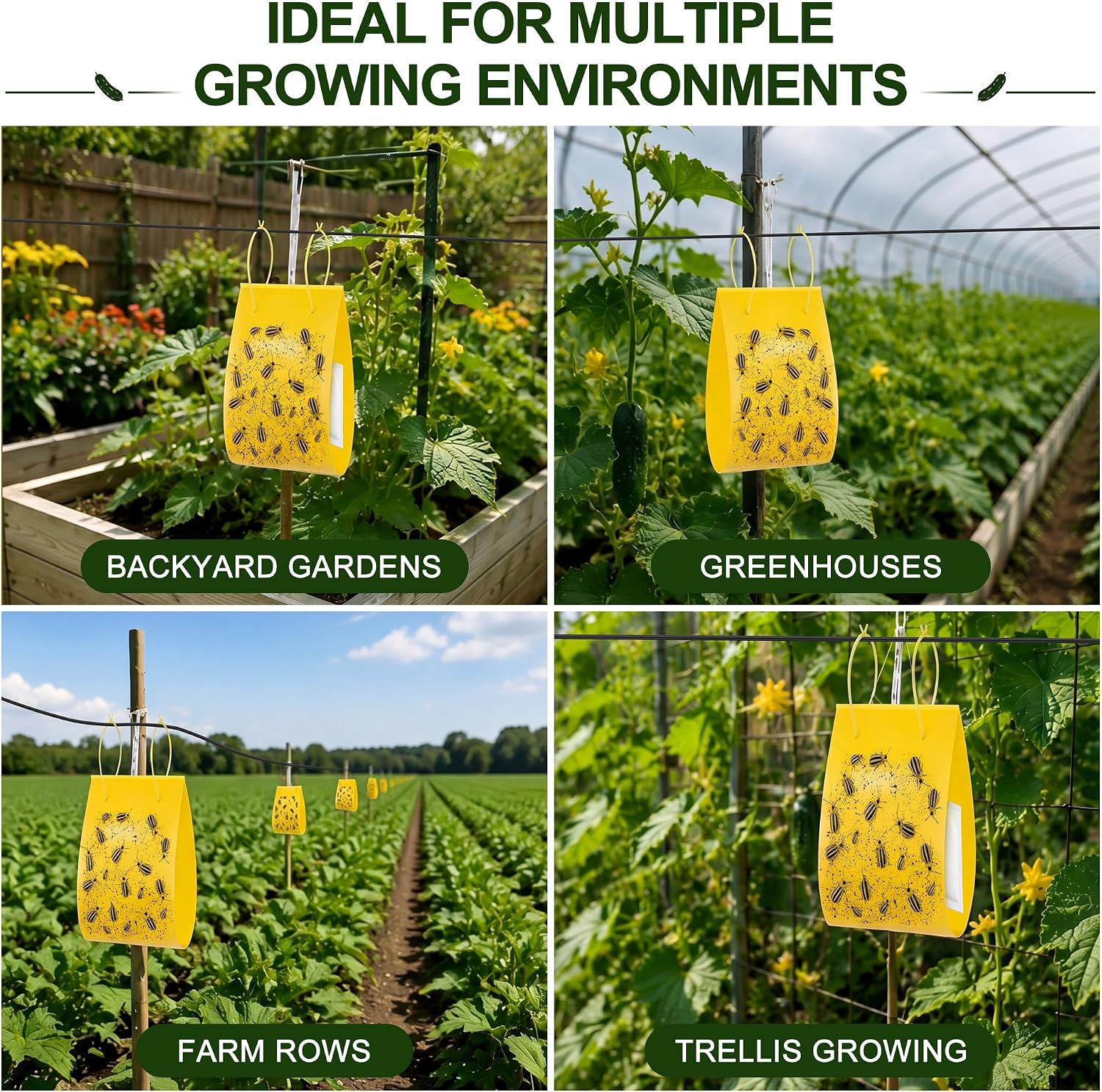 10 Pack Cucumber Beetle Trap(Lure Not Include), 5.9 x 15.75 Inch Large Replacement Beetle Traps with 20 Twist Ties, Heavy Duty Wet Glue for Garden Pest Control, for Squash Vine Borer Trap Outdoor