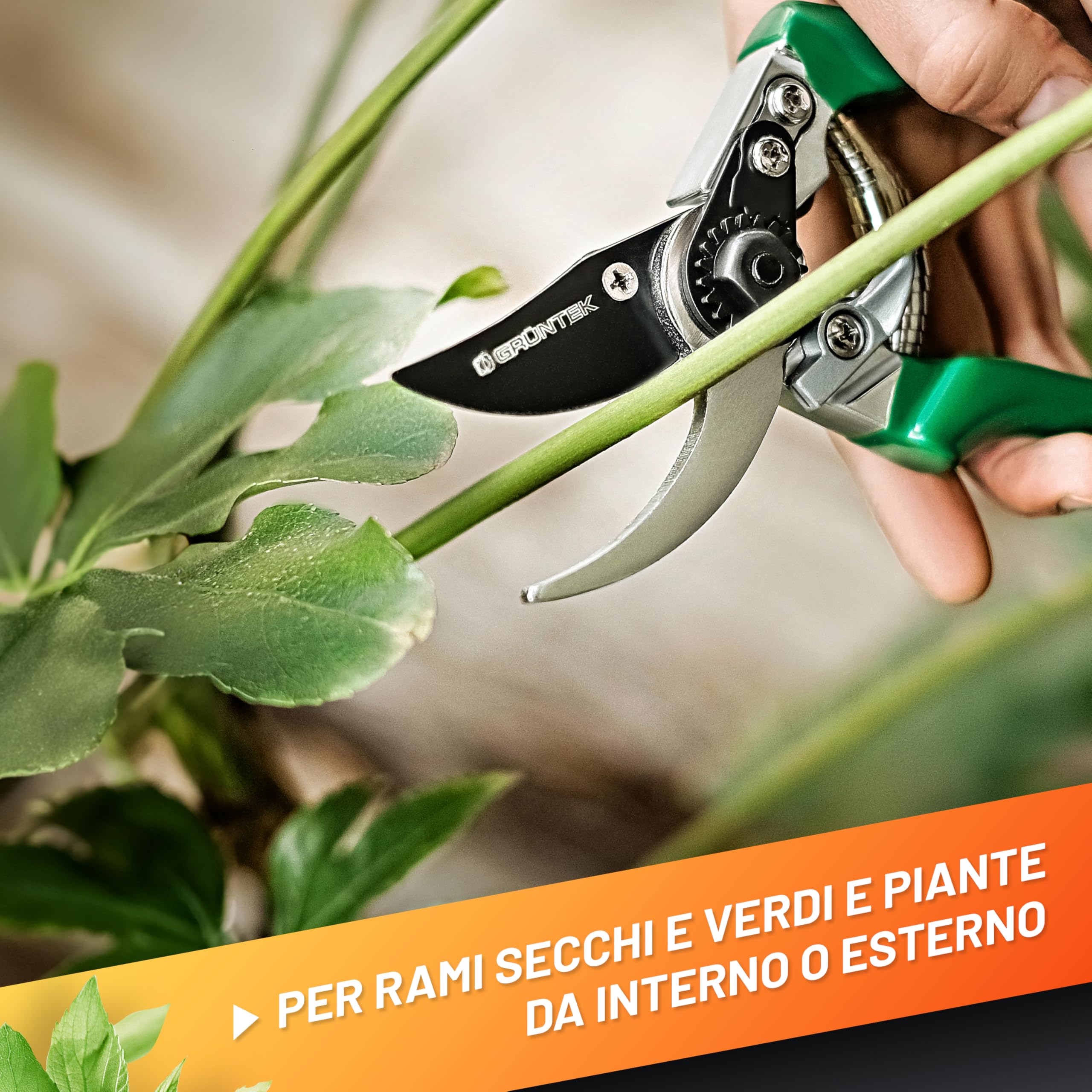 GRÜNTEK Forbici Cesoie Potatura Giardino 215 mm FALCO Professionale