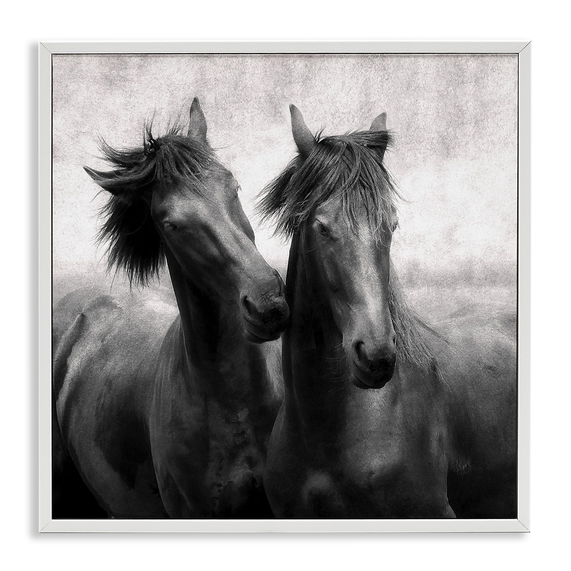 Stupell Industries Coastal White (Textured) 'Short Haired Horse Pair'| Framed Giclee Art