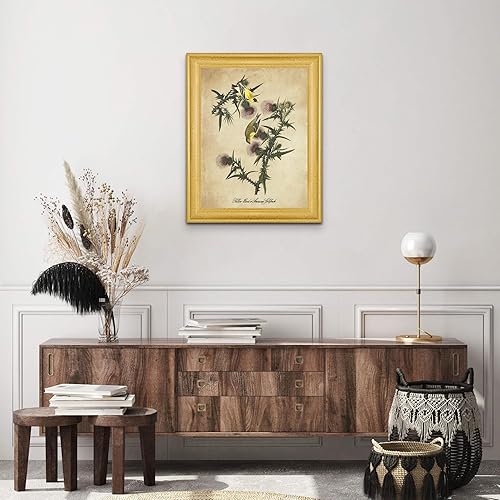 Vista 231 de Towee Bunting by James Audubon - Marco biselado negro de 12 x 16 pulgadas, decoración artística enmarcada para pared, reproducción de pinturas