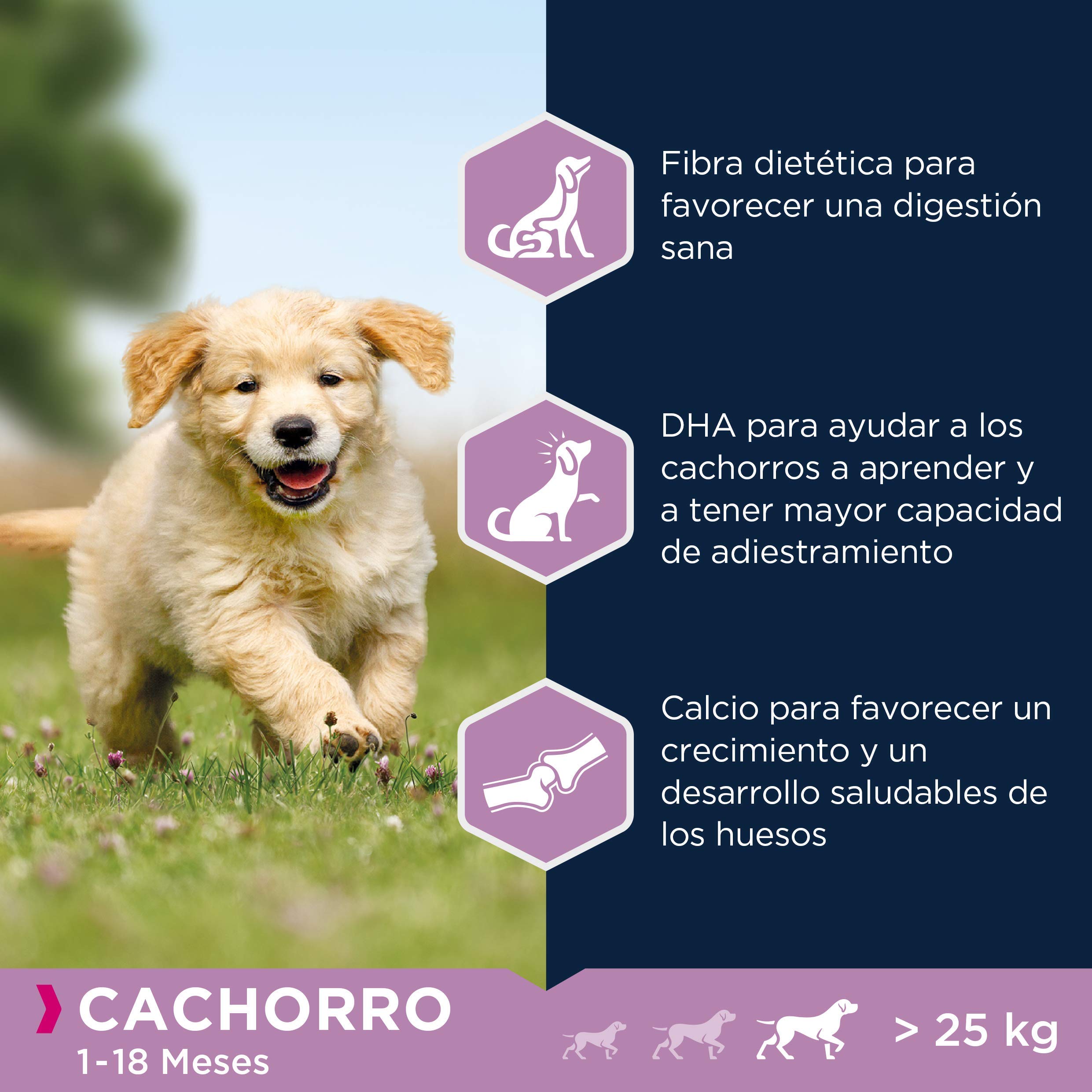 Eukanuba, alimento para Cachorros con Cordero y arroz para Razas grandes - Alimento seco Premium para Perros Junior, 12 kg