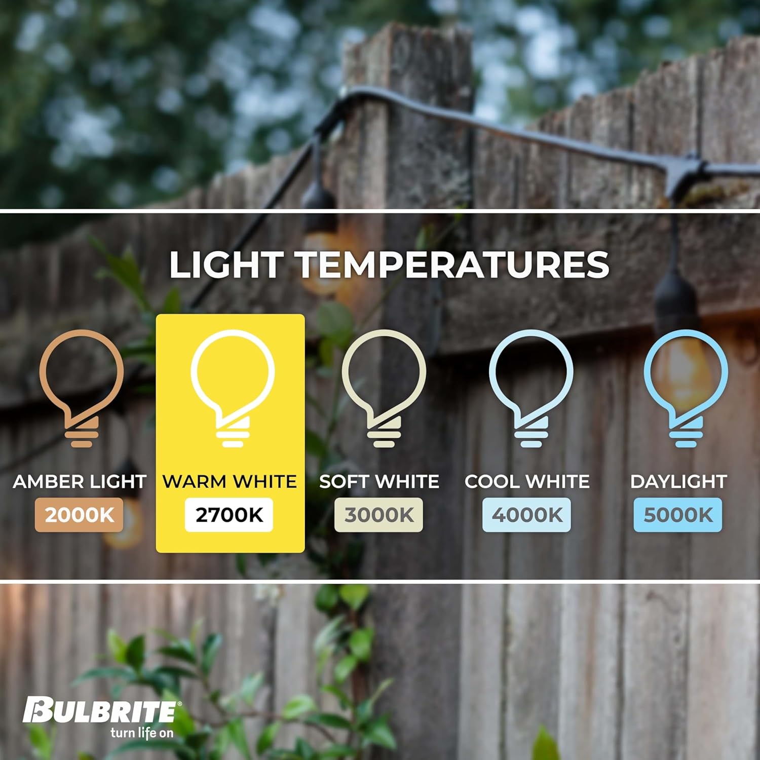 Bulbrite 14-Foot String Light Kit with Clear Shatter Resistant Vintage Style S14 LED Light Bulbs