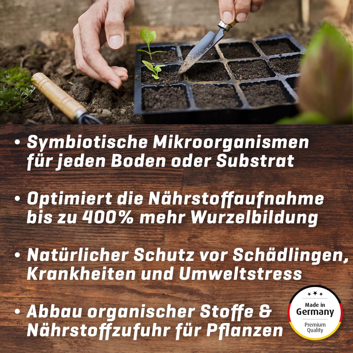 Myco Rhiza Mykorrhiza Wurzelaktivator für Stecklinge und Jungpflanzen, organisch konzentriertes Pulver, Bewurzelungspulver Booster mit Mikroorganismen und Trichoderma, 250 g
