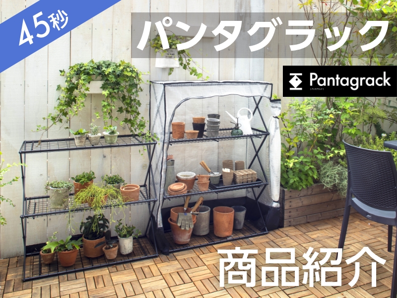 Amazon.co.jp: タカショー ガーデンラック パンタグラックハウス S W86