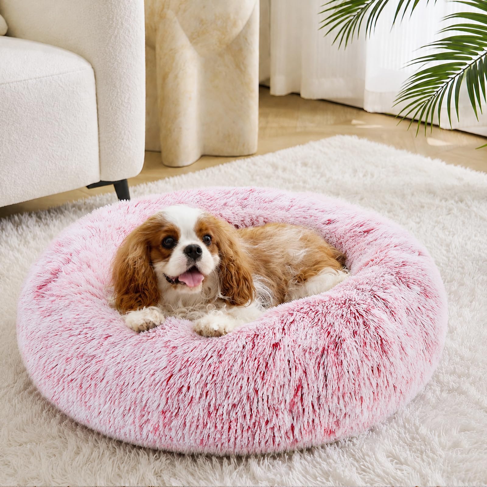 JOLLYVOGUE Calming Small Pink Dog &amp; Cat Bed for Indoor Cats - 20 inches Washable Donut Bed for Kittens &amp; Puppies, Anti-Anxiety Round Fluffy Plush Pet Beds (Fits up to 15 lbs, Smoke Pink)
