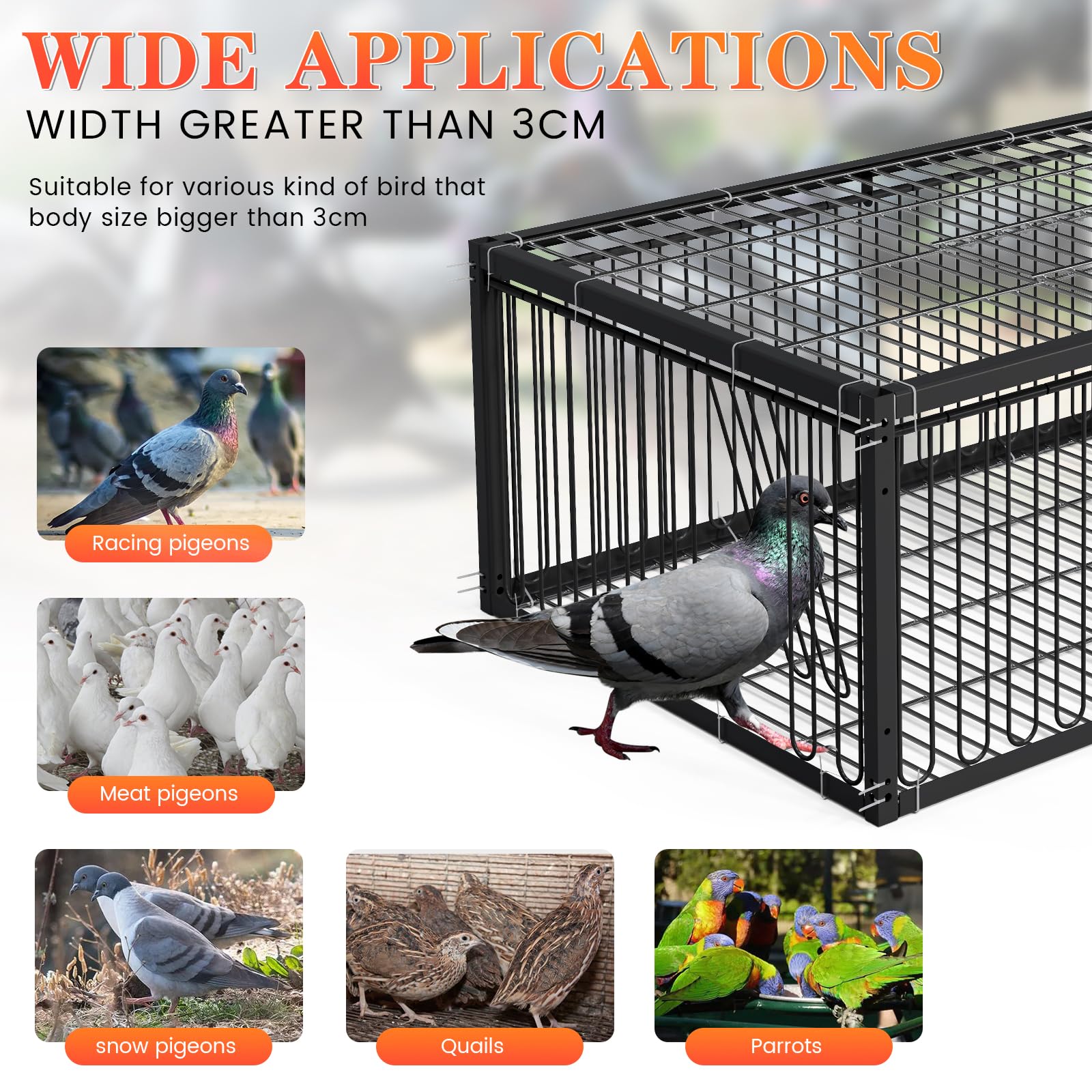 Cage à pigeons, 60 cm, pour la collecte des pigeons, pigeons voyageurs, pigeons à viande, cailles, noir