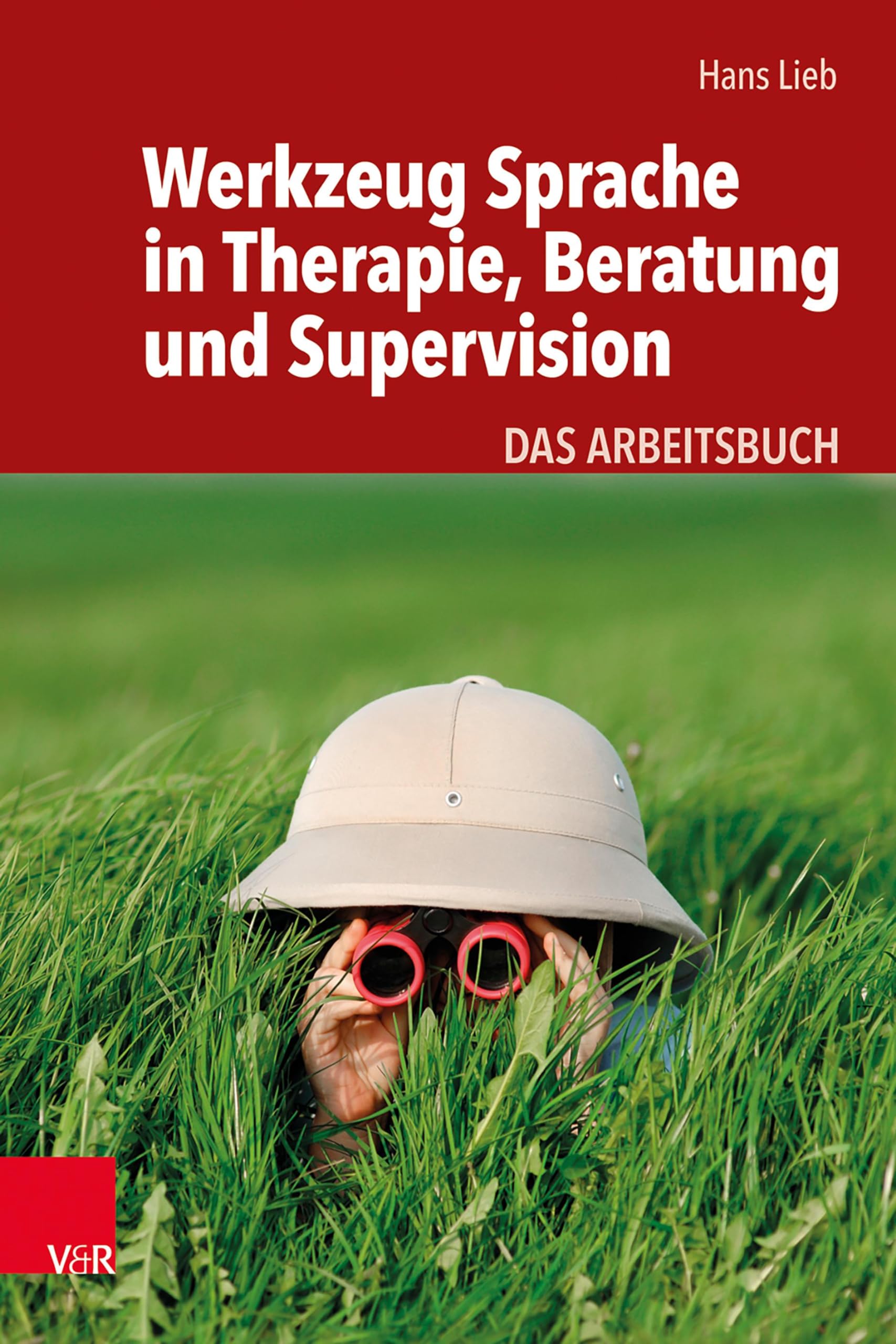 Werkzeug Sprache in Therapie, Beratung und Supervision: Das Grundlagenbuch