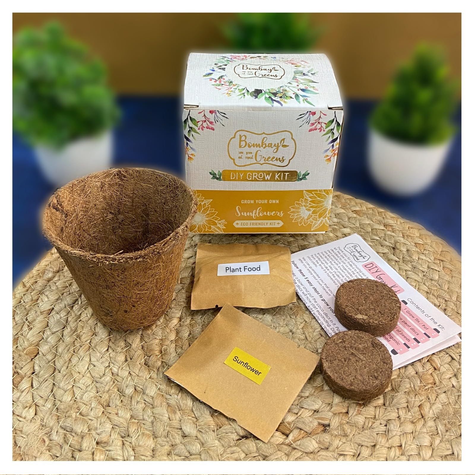 Bombay Greens Sow in a Can Seed Starting Gardening Flower Grow Kit - Sunflower Seeds (B0BB6RXLRK) Amazon Price History, Amazon Price Tracker