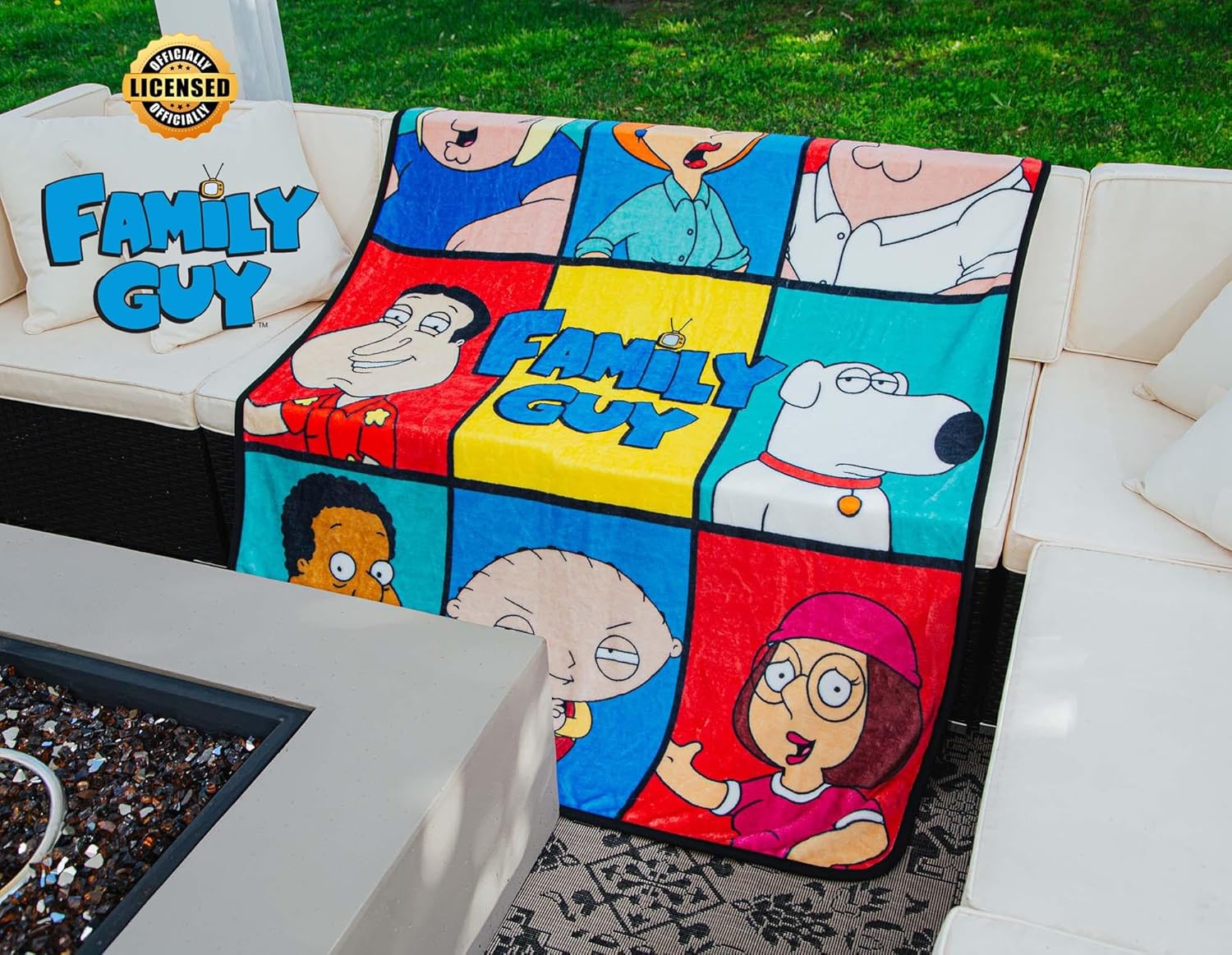 Family Guy Character Grid Raschel Throw Blanket | Soft Polyester Cover for Sofa, Bed | 45 x 60 Inches - Image 9