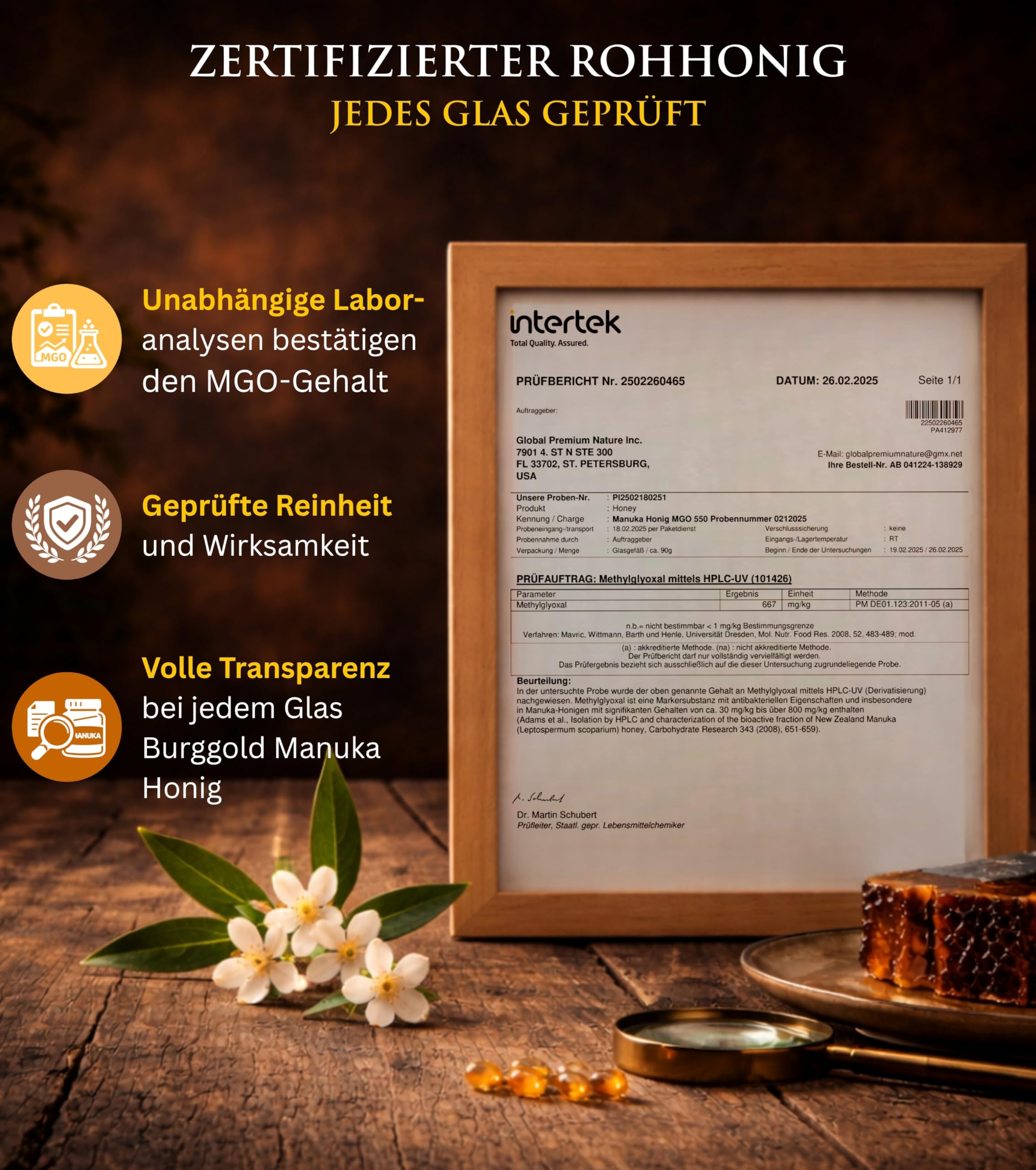 Burggold Manuka Honig 550 MGO+ im Glas (250g) (100% reiner Premium Honig aus Neuseeland mit zertifiziertem Methylglyoxal Gehalt, laborgeprüft, vakuumversiegelt, ohne Zusätze)