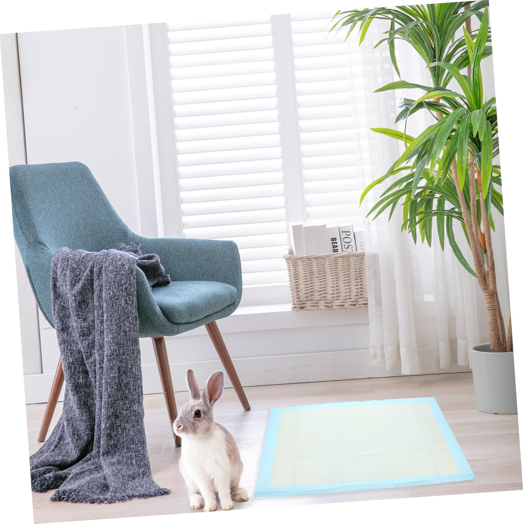 Tapis de Propreté pour Lapins Jetables, 50 Pièces, Non Tissé