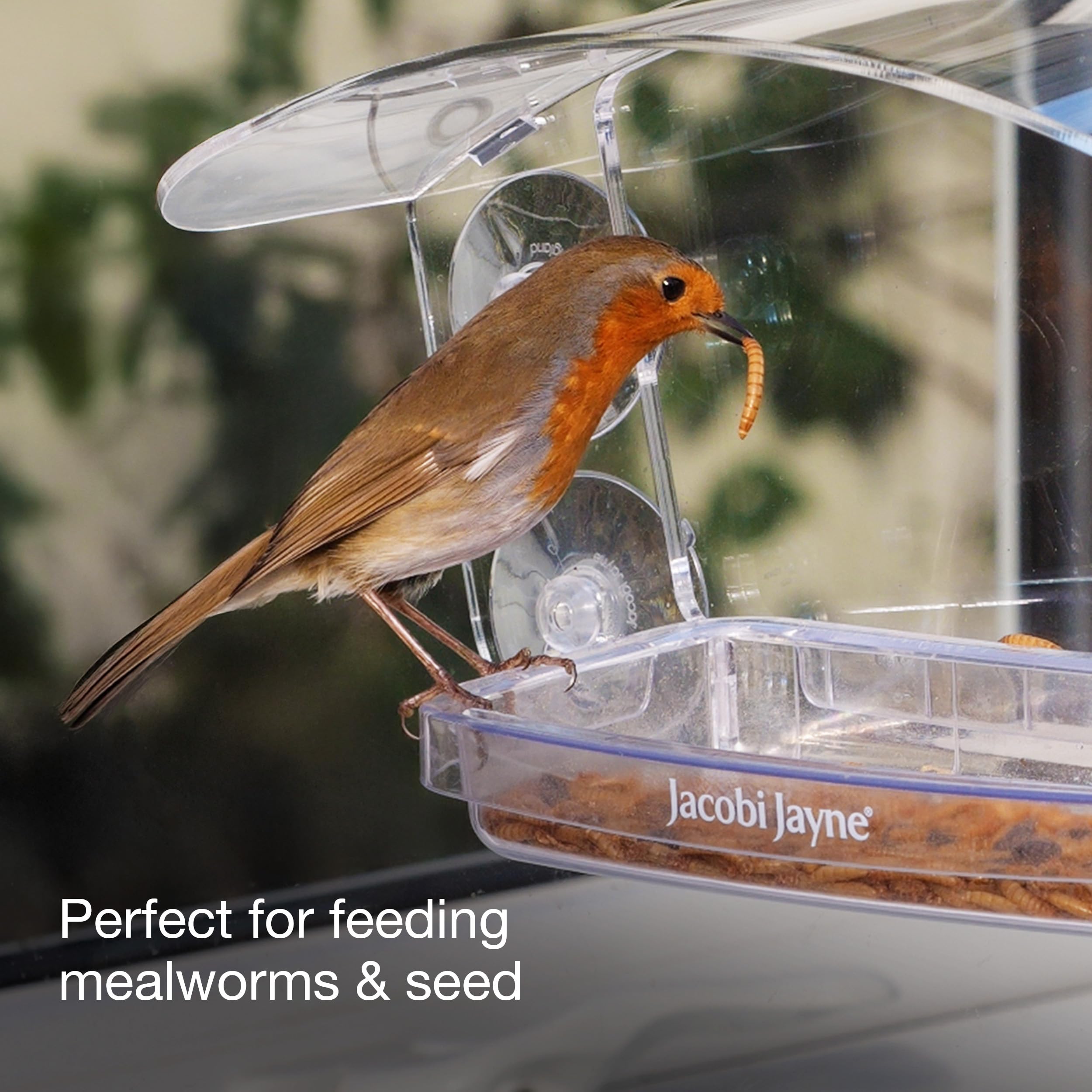 Jacobi Jayne® Sky Deck™ - Comedero para pájaros de Ventana Transparente con ventosas Fuertes - Comedero para pájaros para Ventana - Mira cómo los pájaros se acercan con Este comedero acrílico para